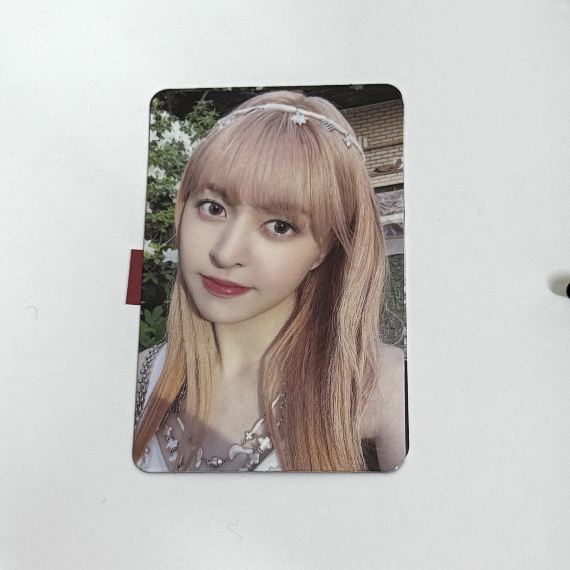 Lily 仲夏夜專輯卡