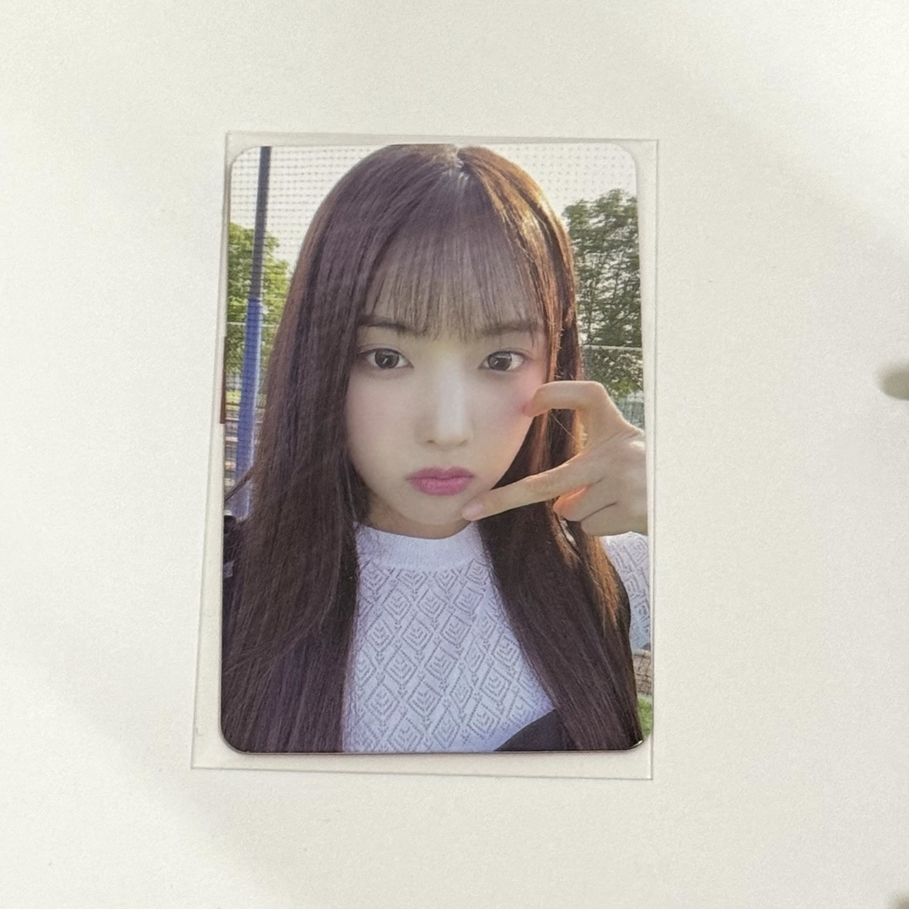 Jiwoo 仲夏夜專輯卡