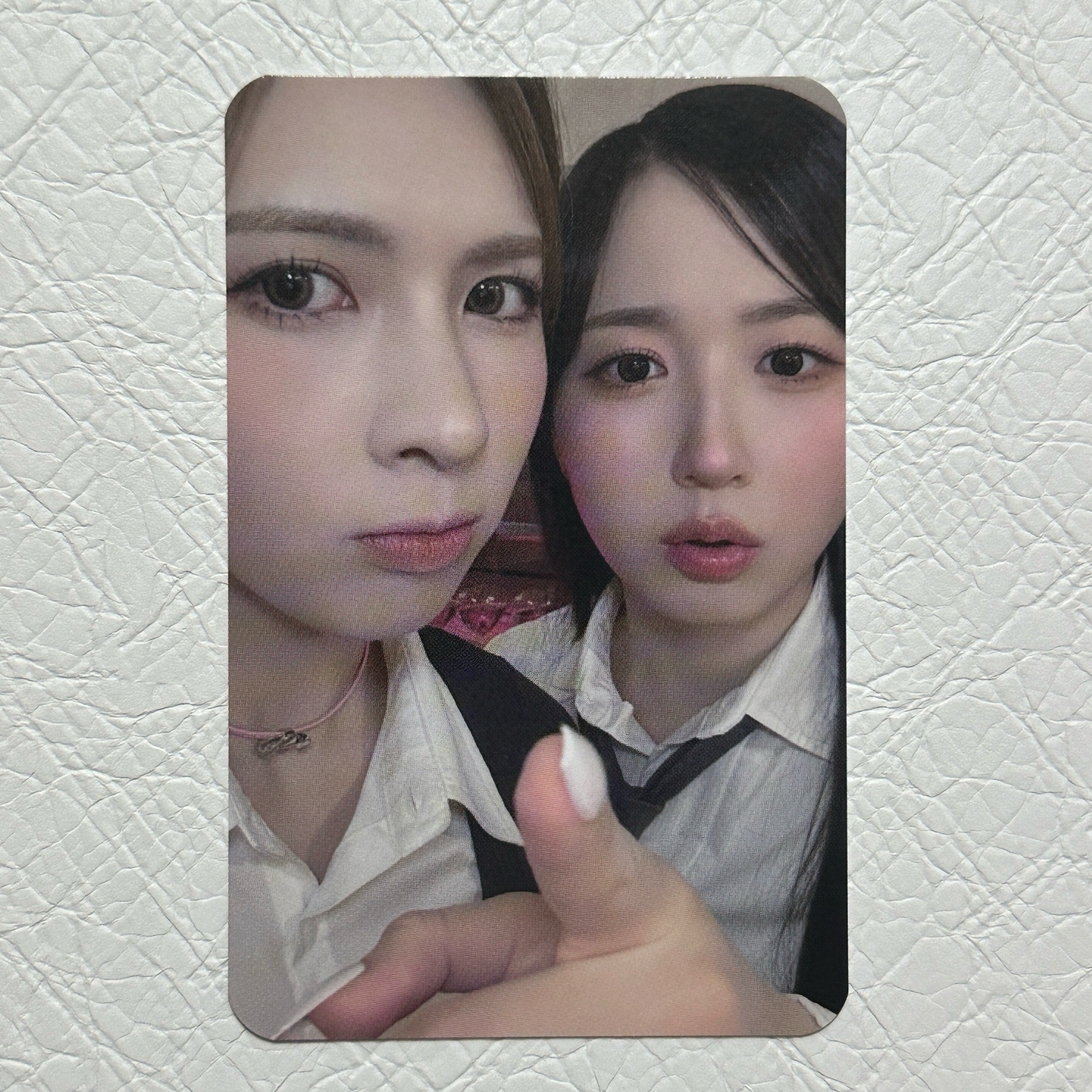 🐥🫵🐻‍❄️