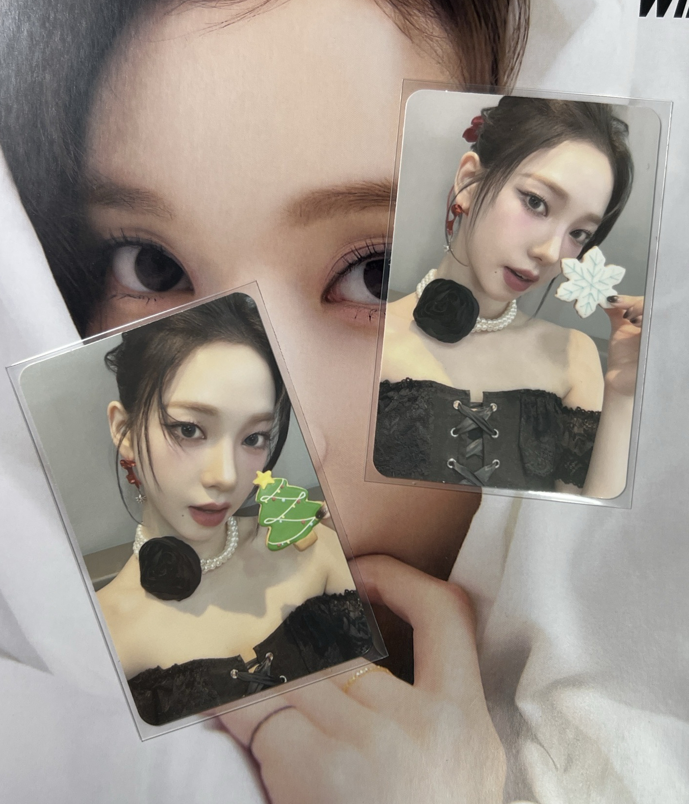 23聖誕柚 2張一組