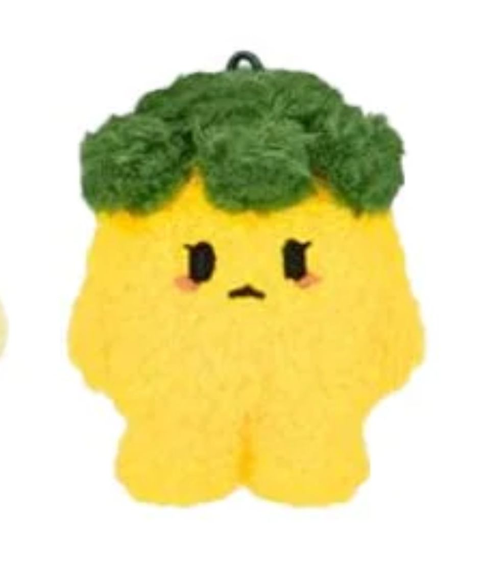 非現貨‼️ NMIXX 智友 Jiwoo 小娃 FM官娃