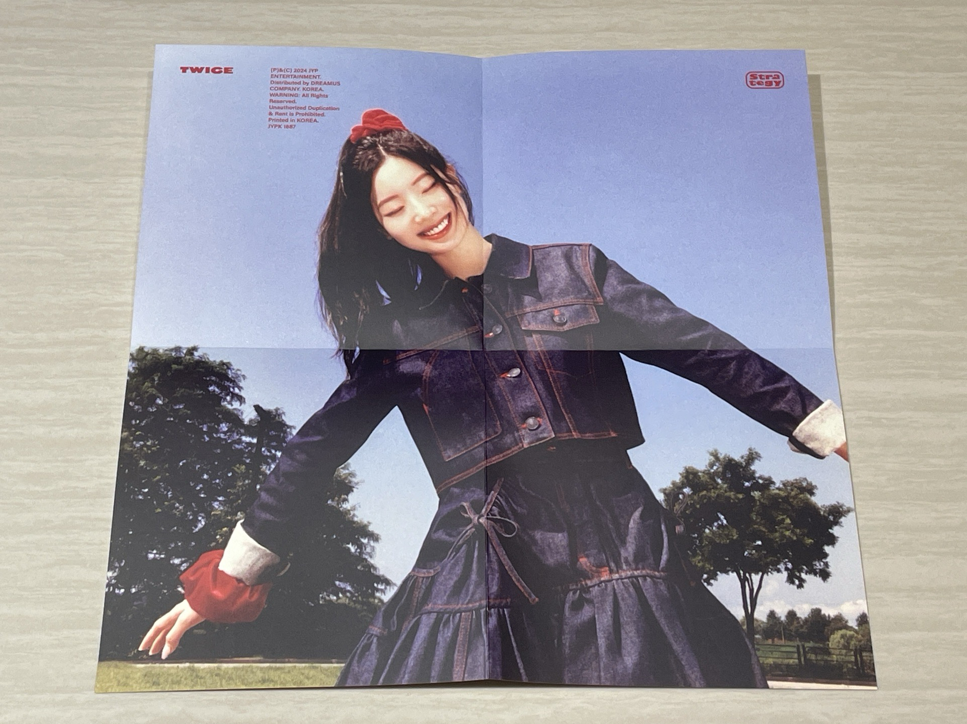 TWICE STRATEGY 專卡 mini 14 多賢 豆腐 小海報