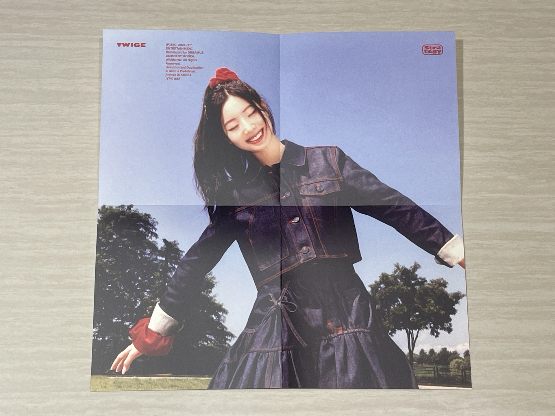 TWICE STRATEGY 專卡 mini 14 多賢 豆腐