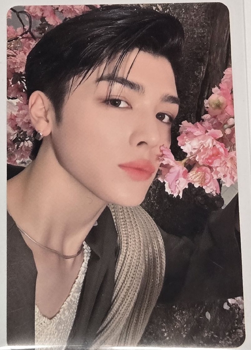 雪明 專輯卡 通常專卡 Maki