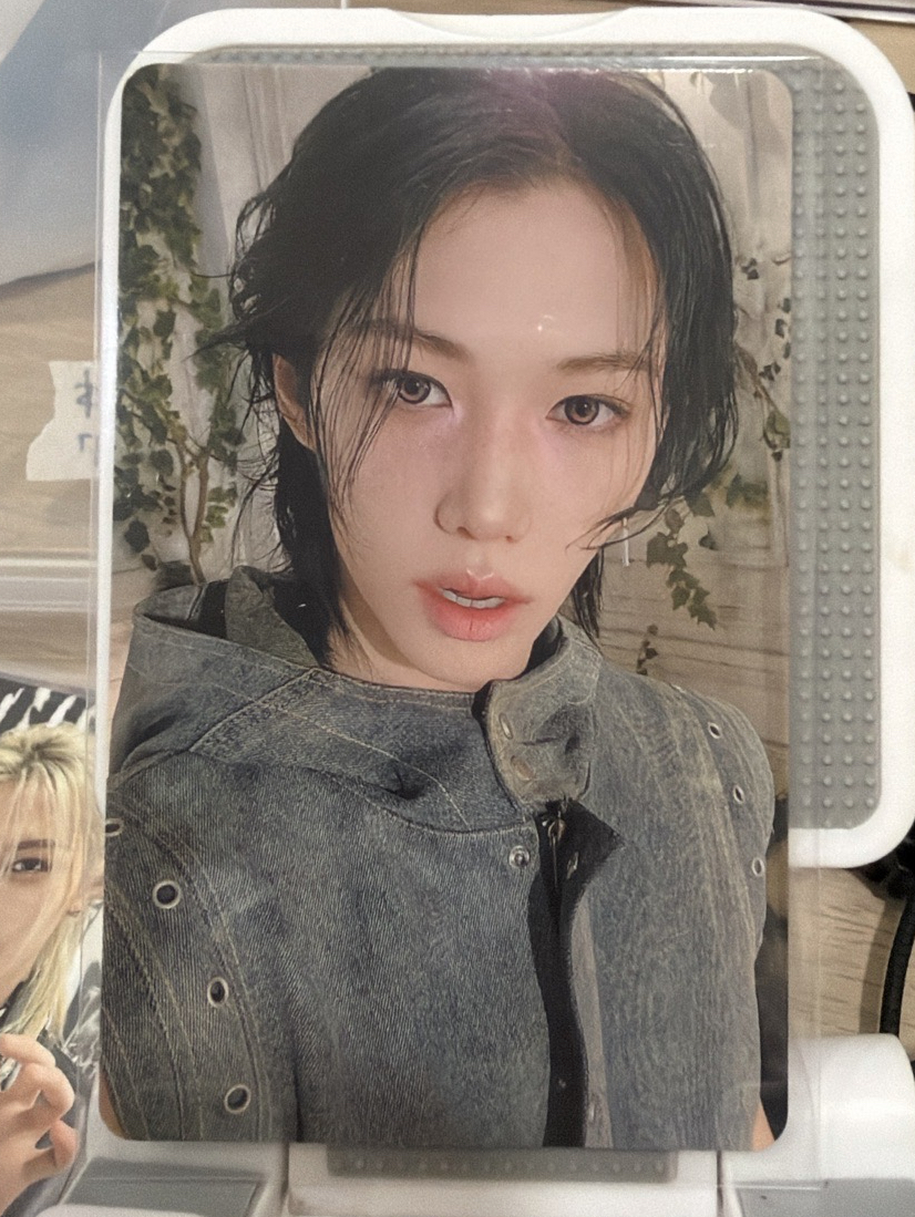 靜岡場限  特典 5/18 菲