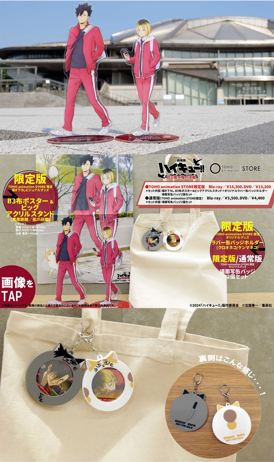 電影 垃圾場決戰 豪華版DVD TOHO版 整組不拆