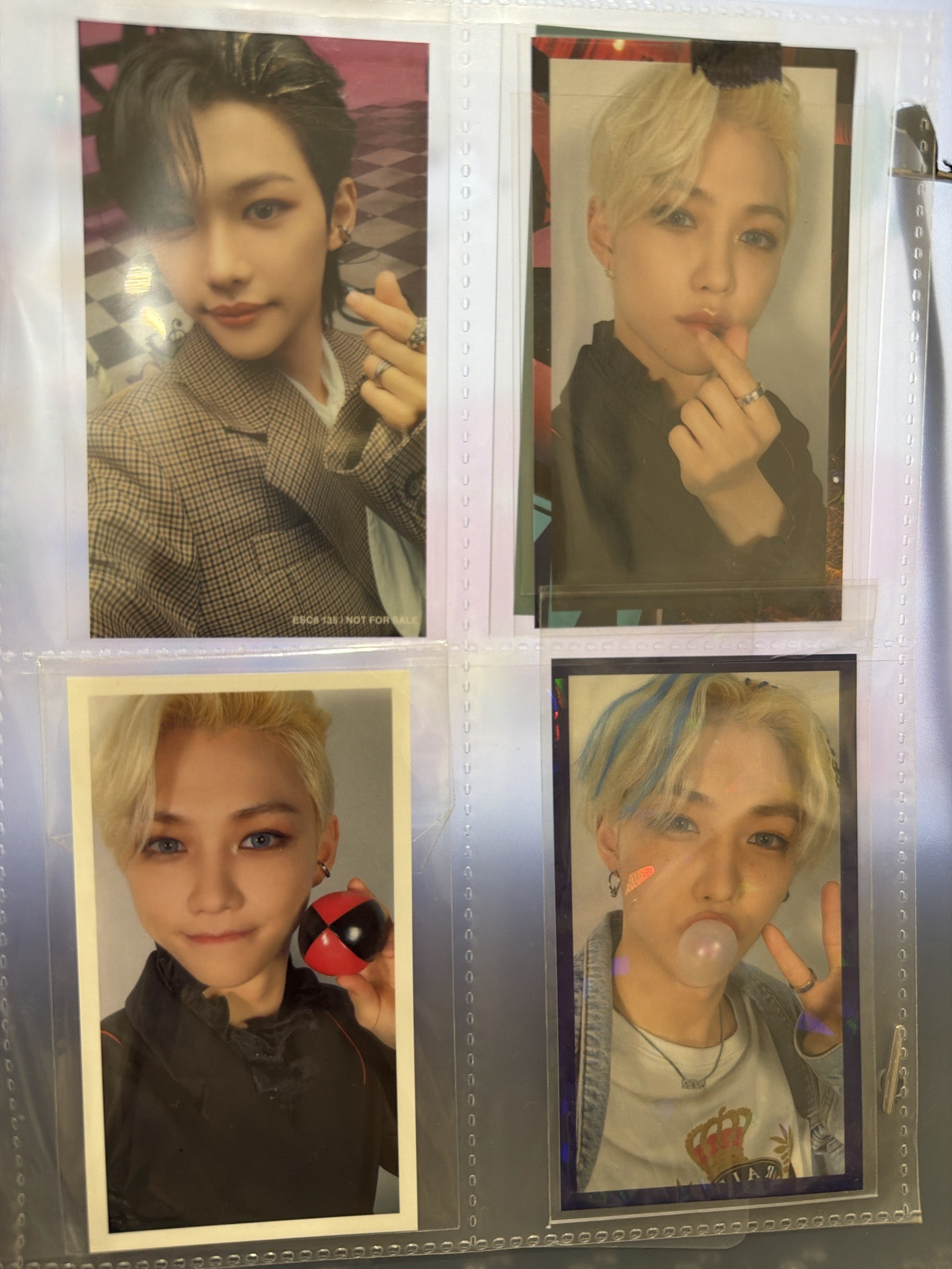 circus 日專 專卡 泡泡糖菲 比心菲 拿球菲