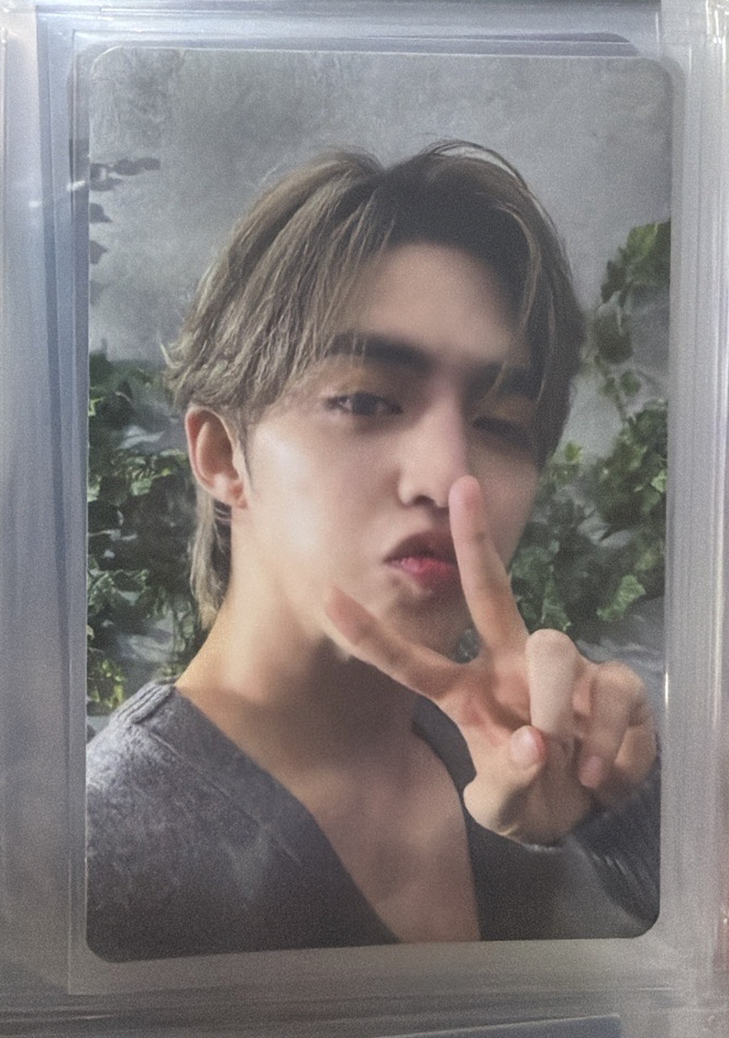 🧡seventeen 崔勝哲 消費期限 專輯卡 日專