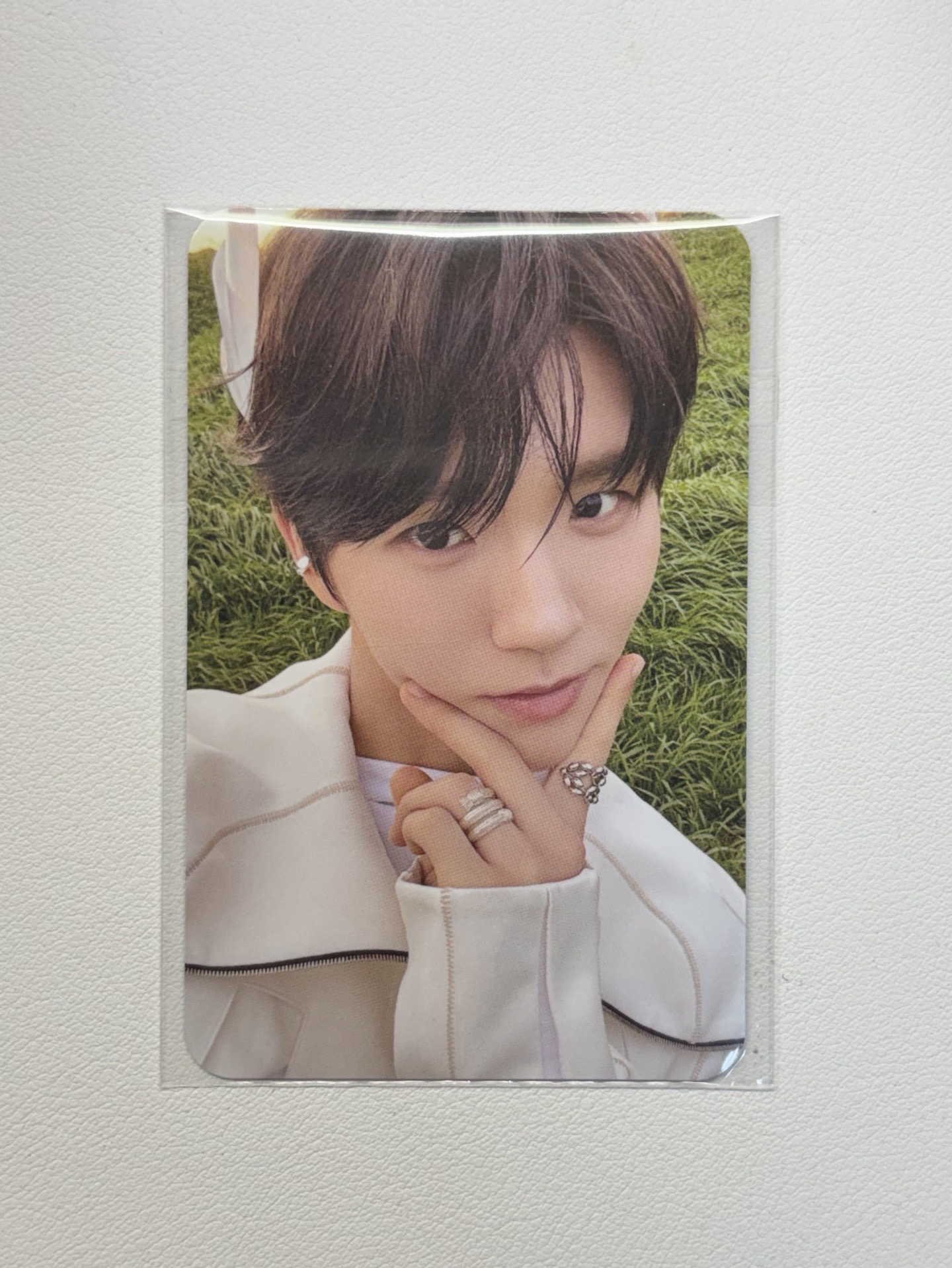 金栽禧 mumo特典卡