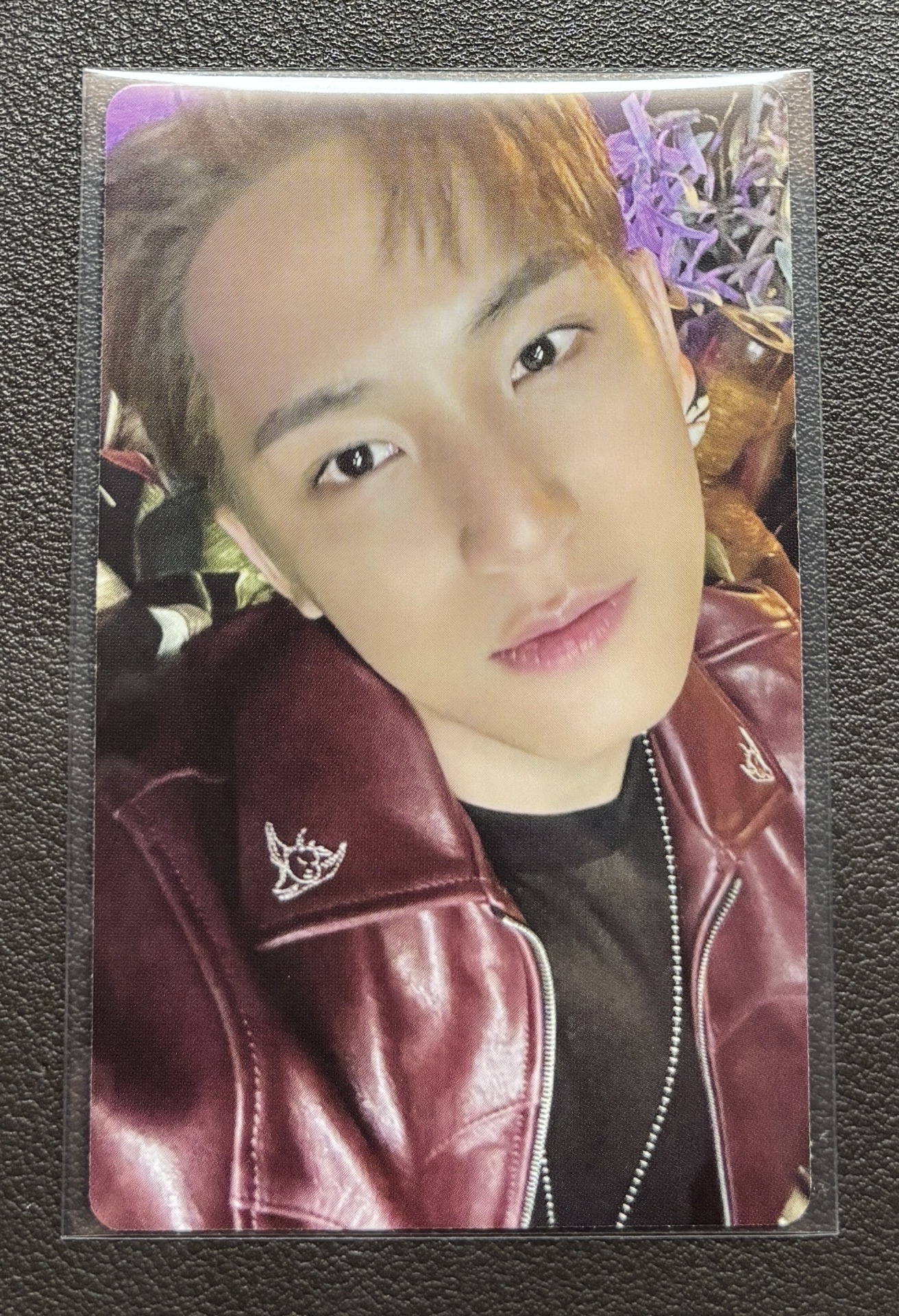 WVS C版 奎特典卡 