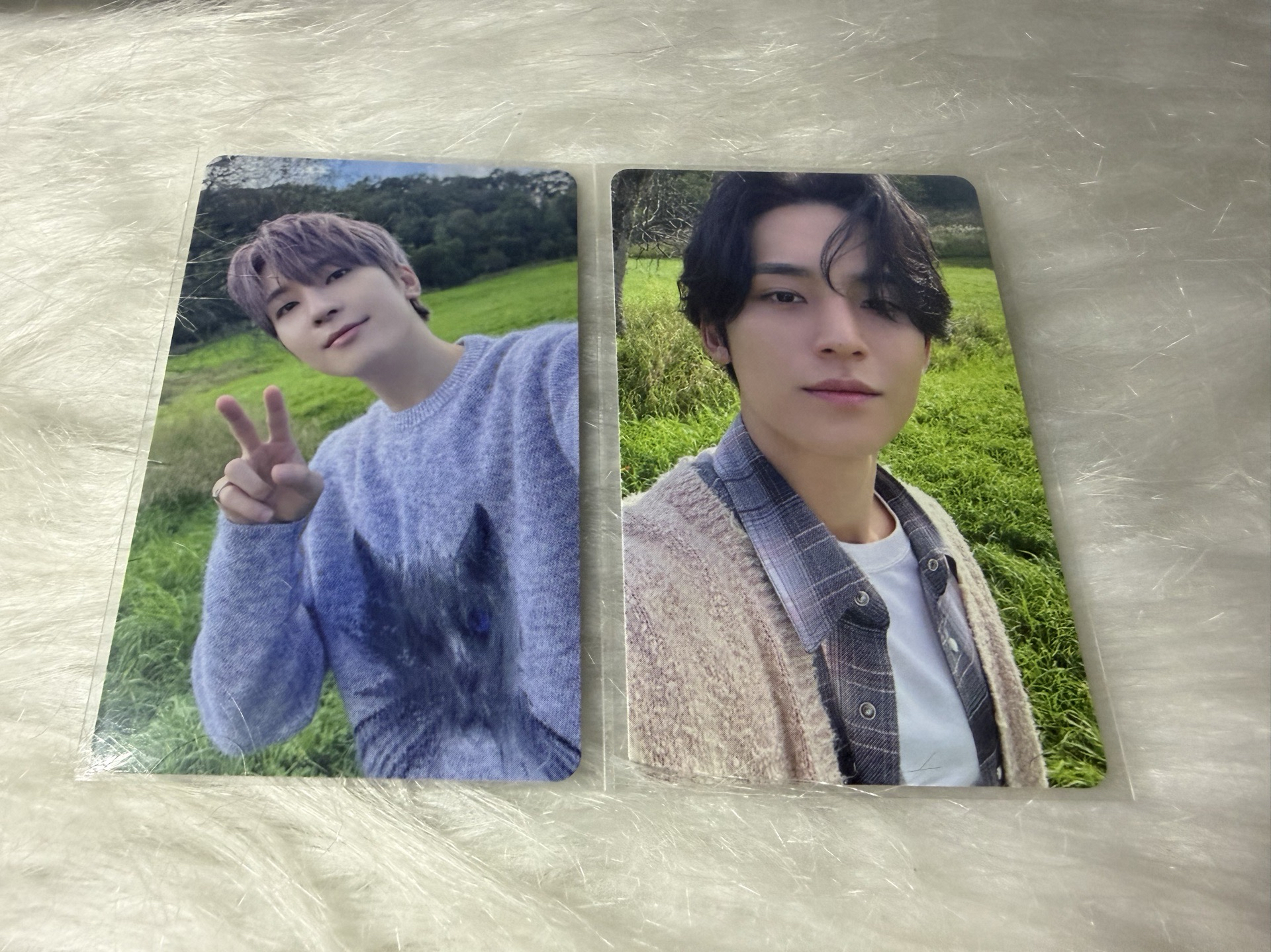 草地軟綿綿 穿暖暖等你🦊🐶