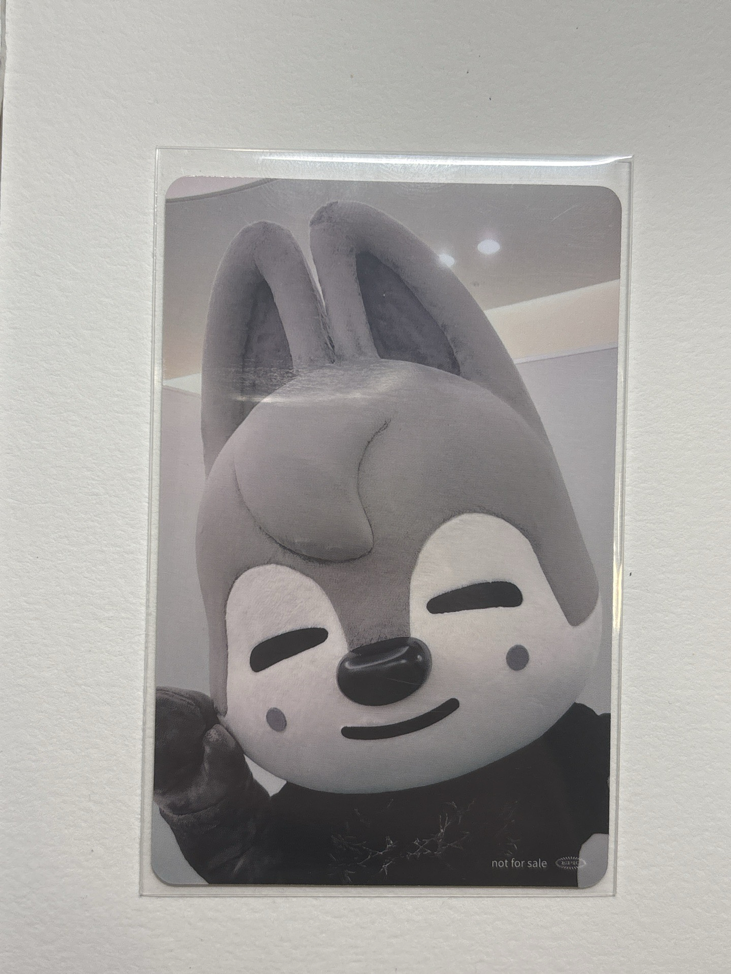 卡背有可愛沃夫燦的方燦hollew塔店滿額卡