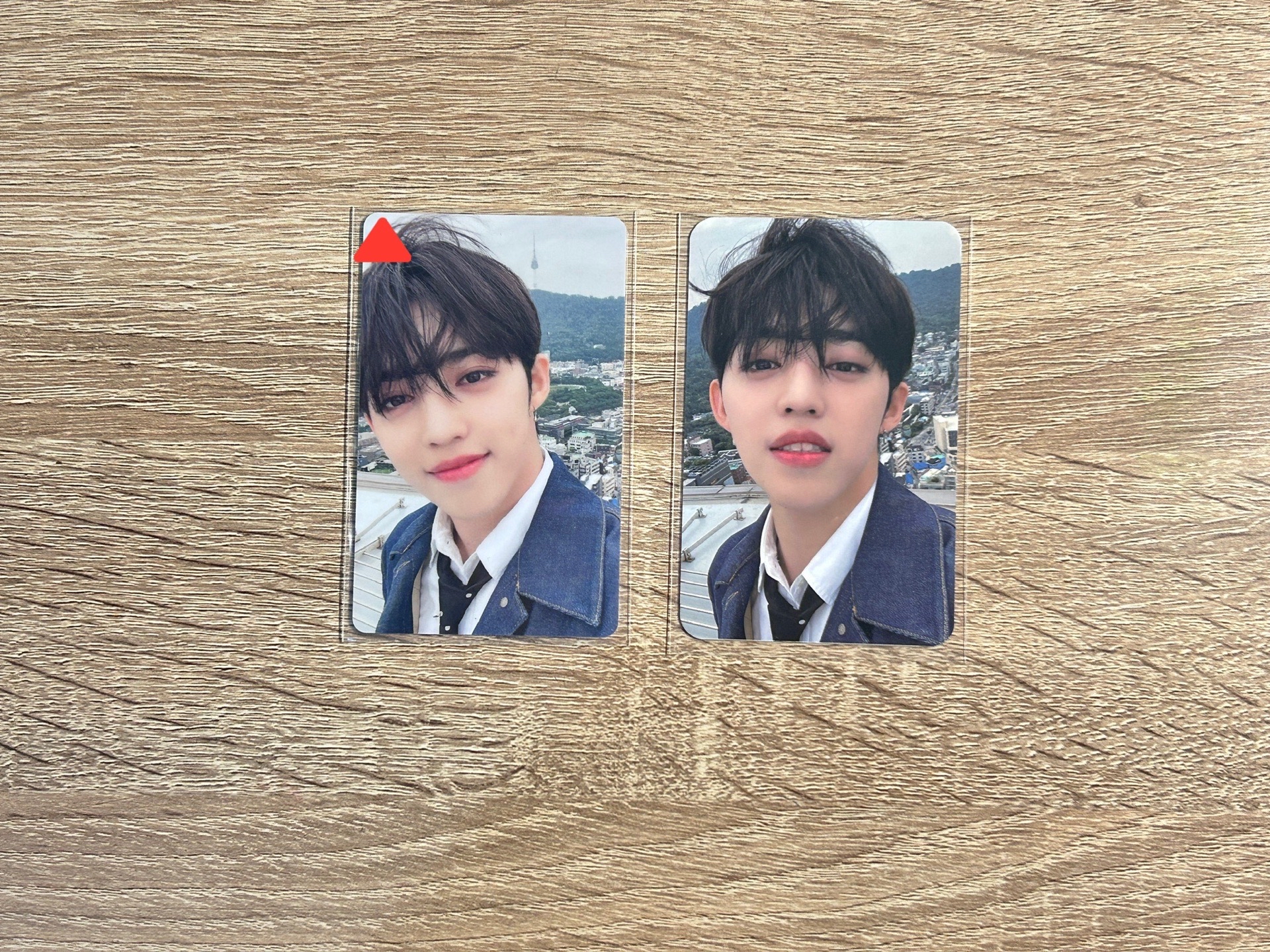 天台哲/喆（含一隻櫻桃小酷）