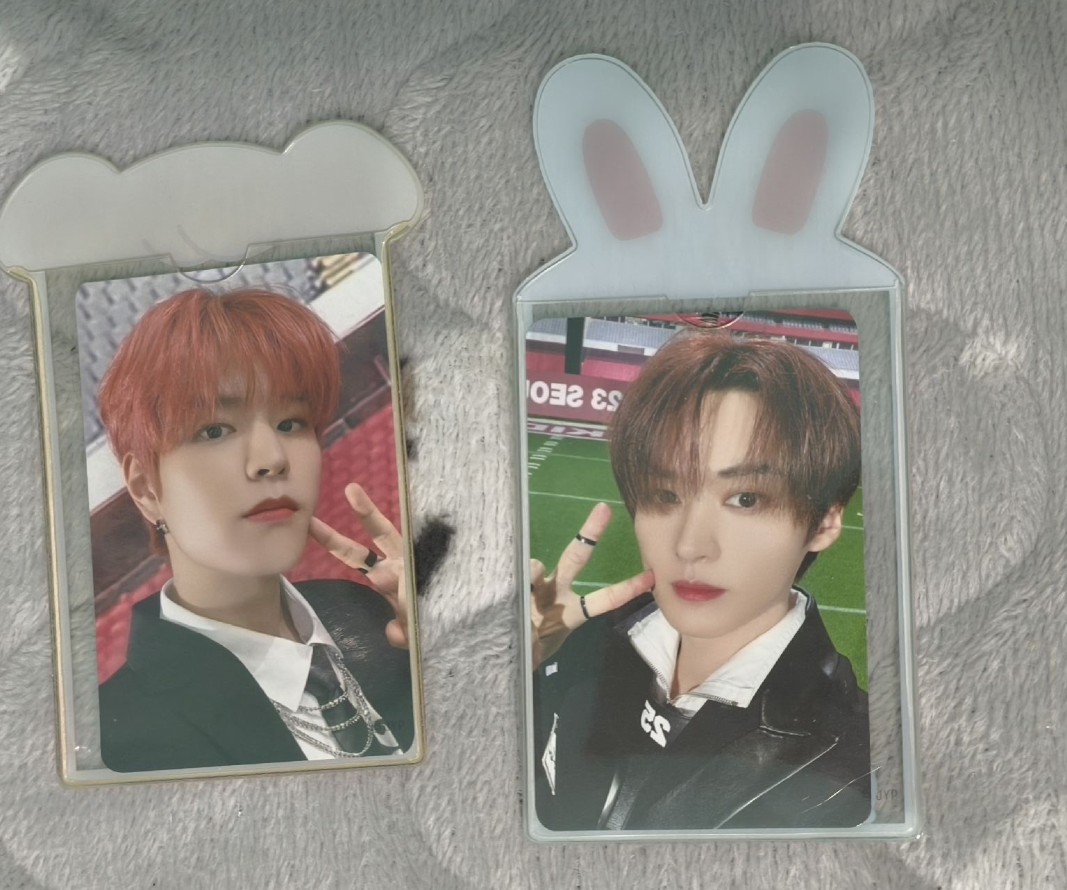 日本巨蛋巡迴周邊