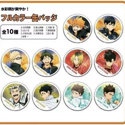 排球少年 橫斷幕 隊旗 徽章 日向 影山 月島 山口 研磨 木兔 赤葦