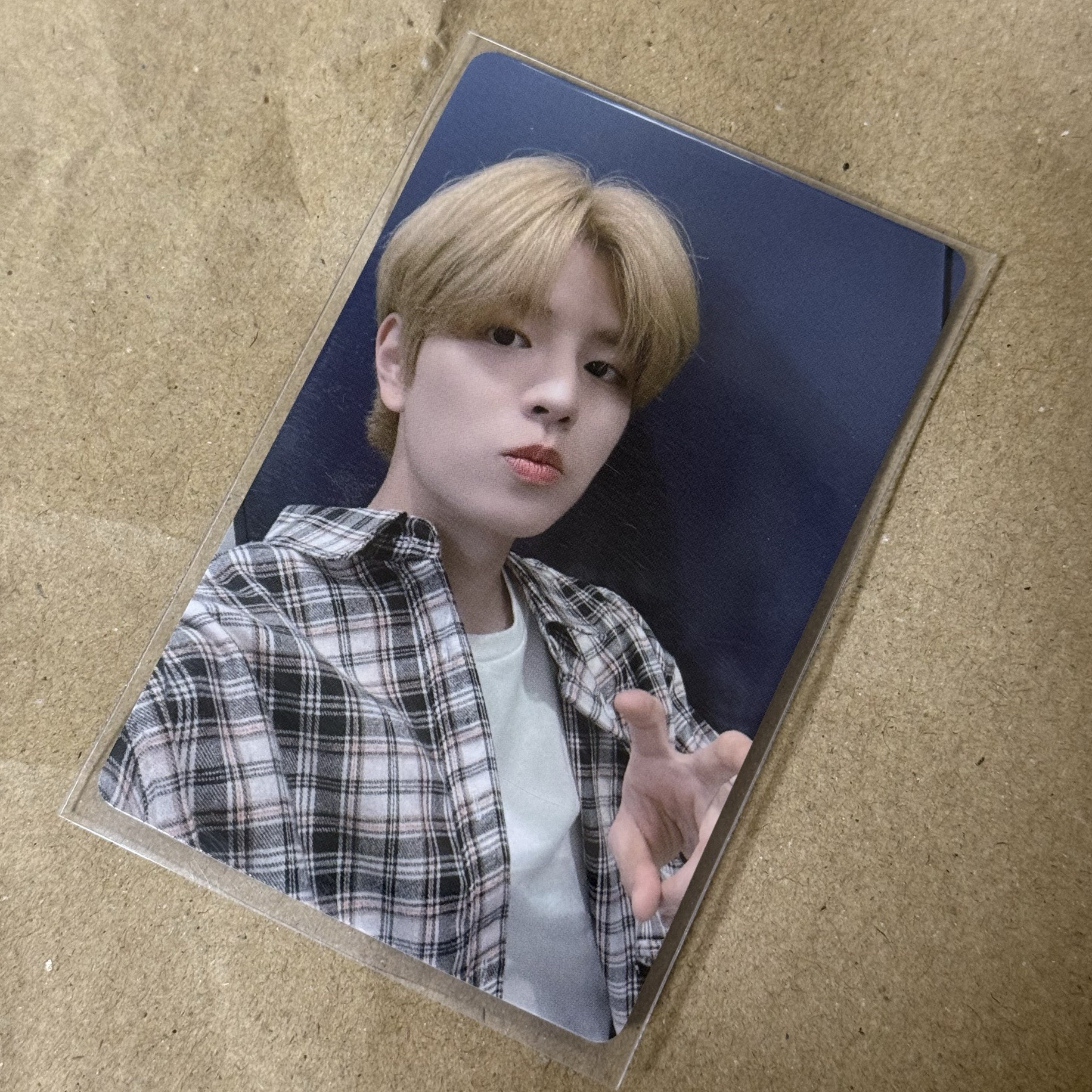 5-Star 一直娛中背 玟