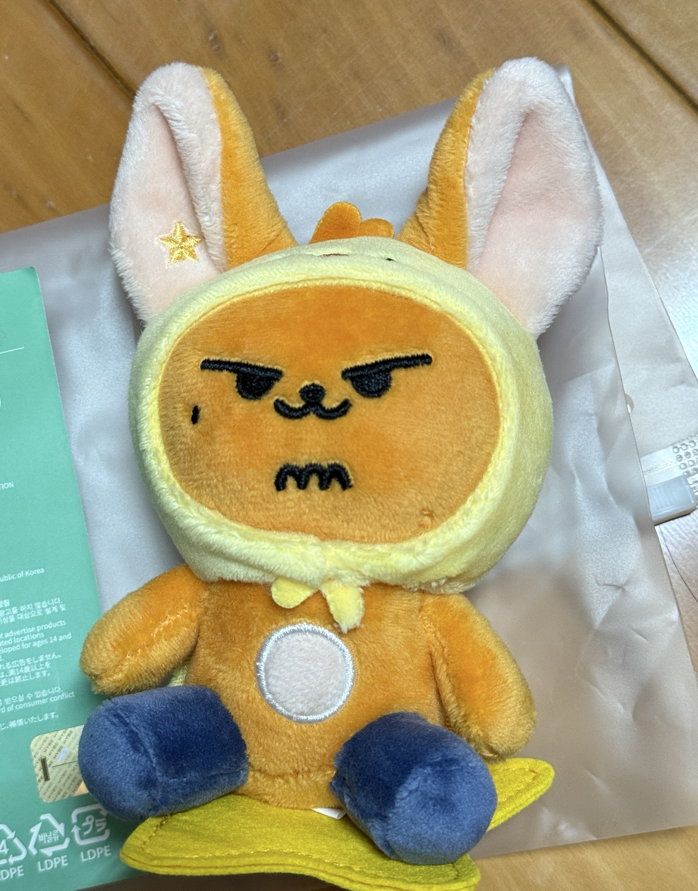 FINDING MOA 坐娃 黃春