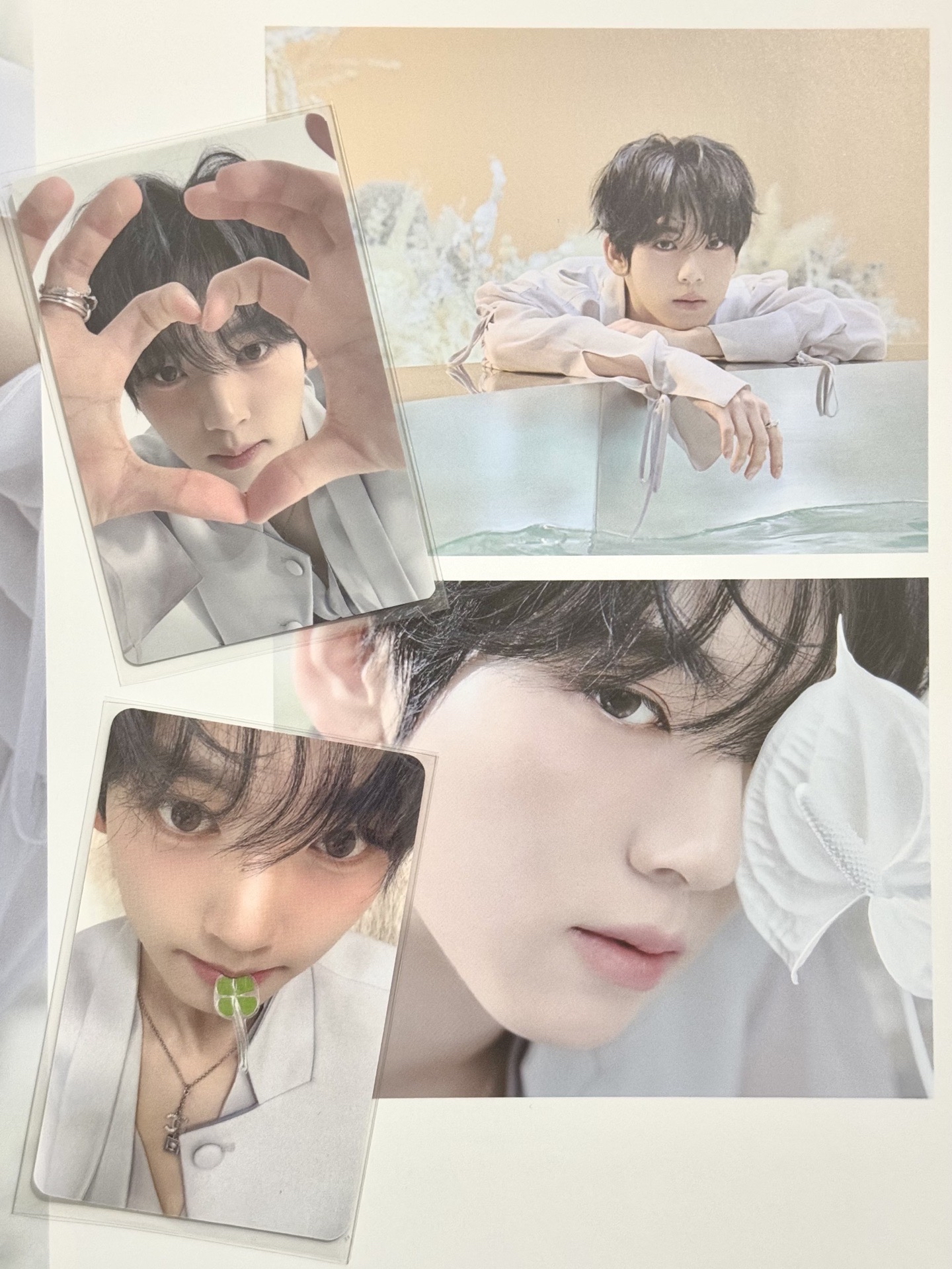 ZB1 維辰 美男比心🫶🏻+四葉草🍀