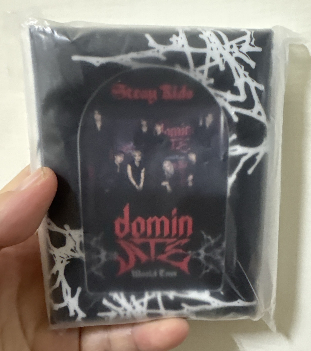 Straykids dominate世巡卡冊