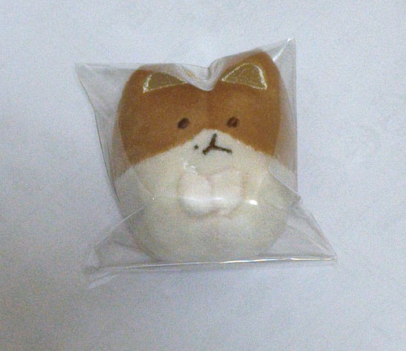 伯賢 | 特萊騎 | 卡套/三糰子/中糰子