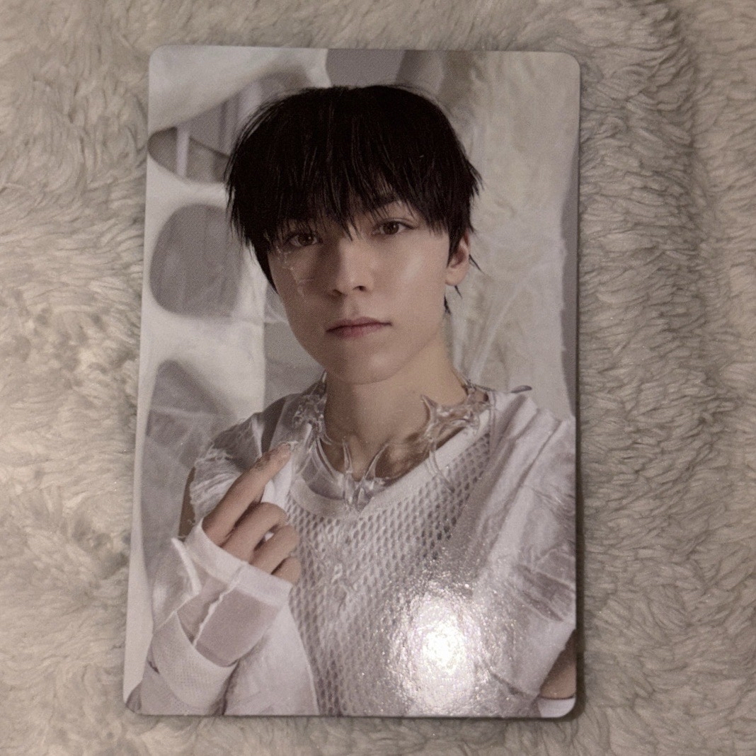 正五克拉盤 專卡 啵：我嗎