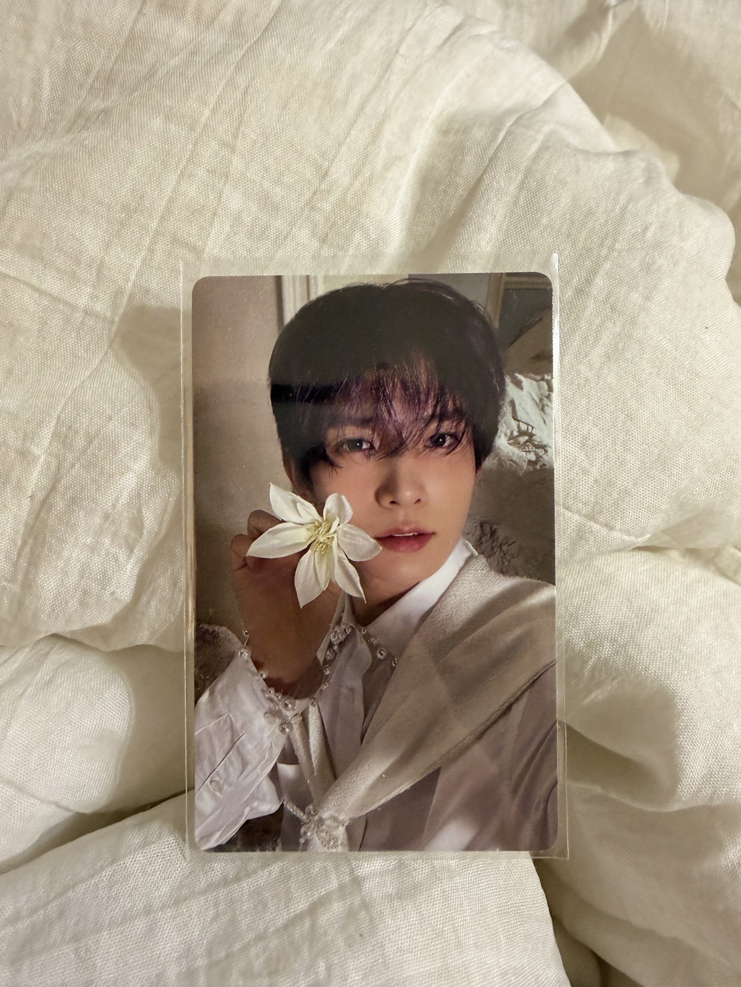 enhypen 李羲承迷五 orange blood 專輯卡 拿花羲