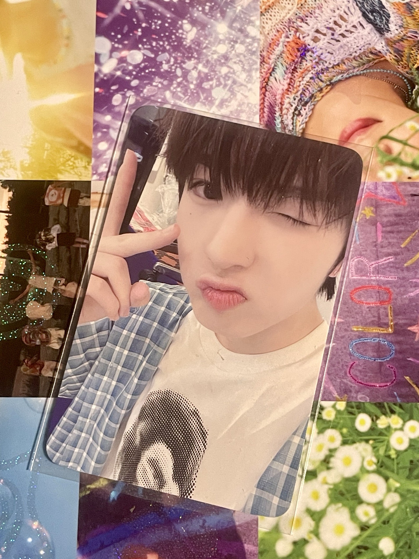 sakuya 藤永咲哉 steady dmm幸運卡