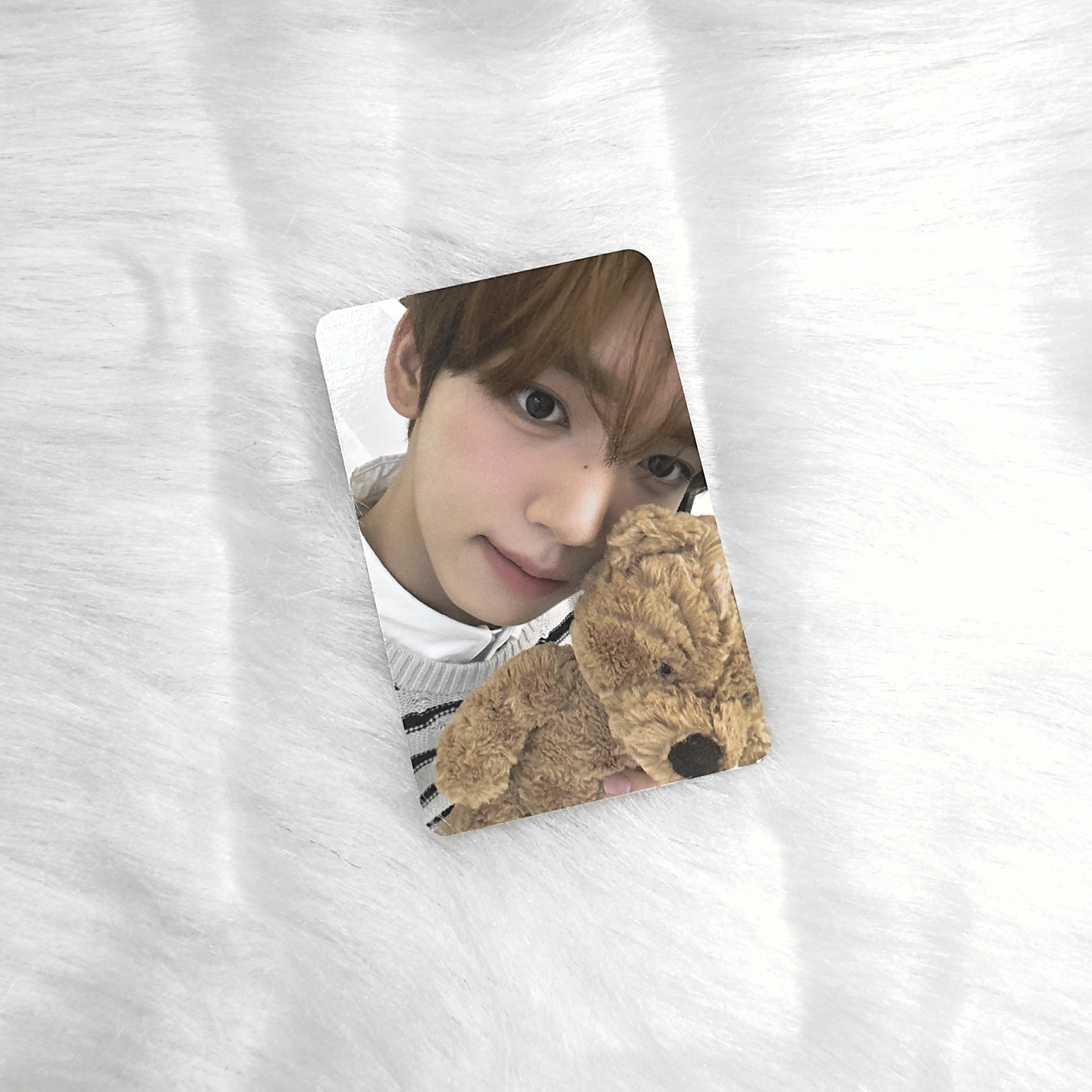 現貨｜ZB1 Colorgram代言卡1.0 韓維辰