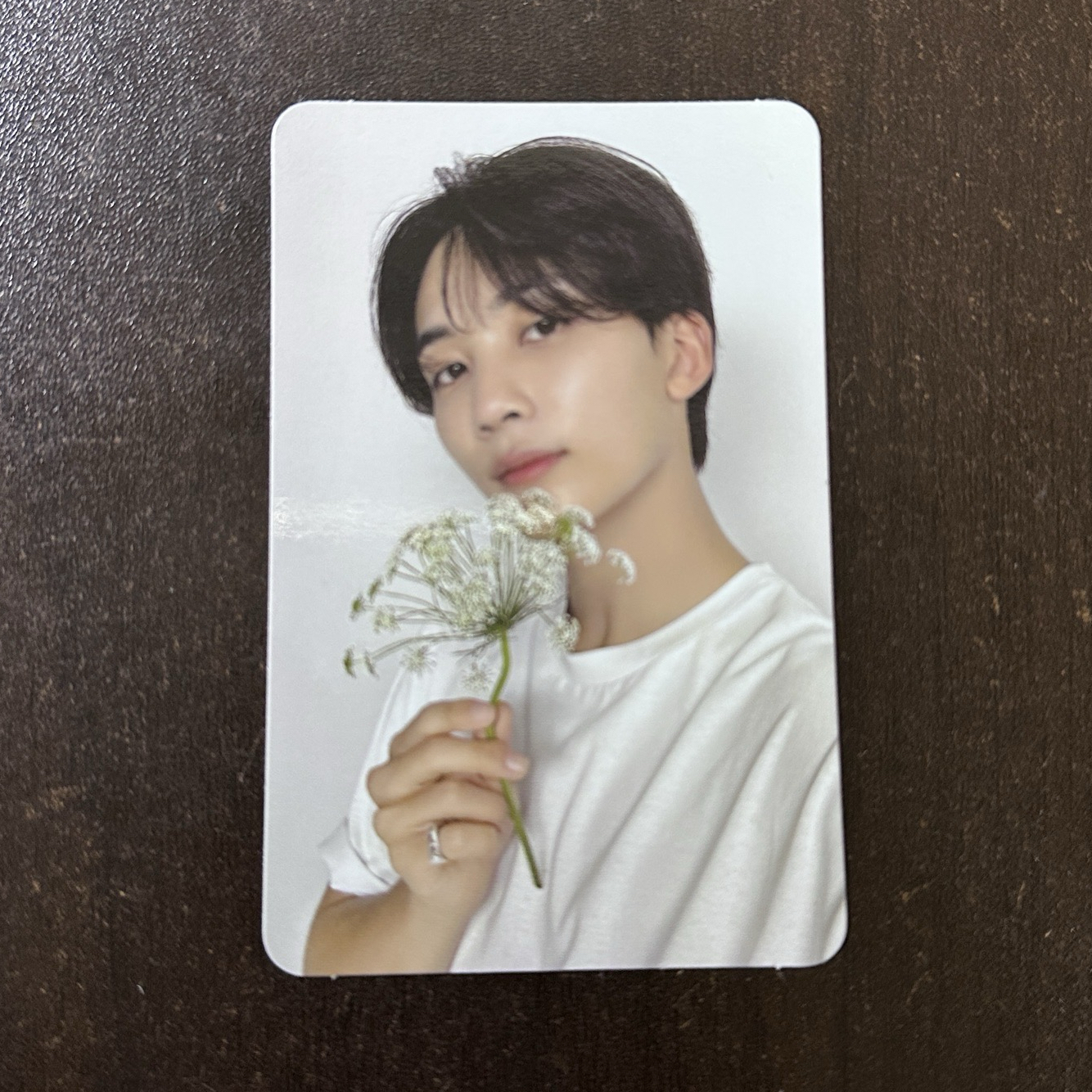 seventeen 淨漢 精選專