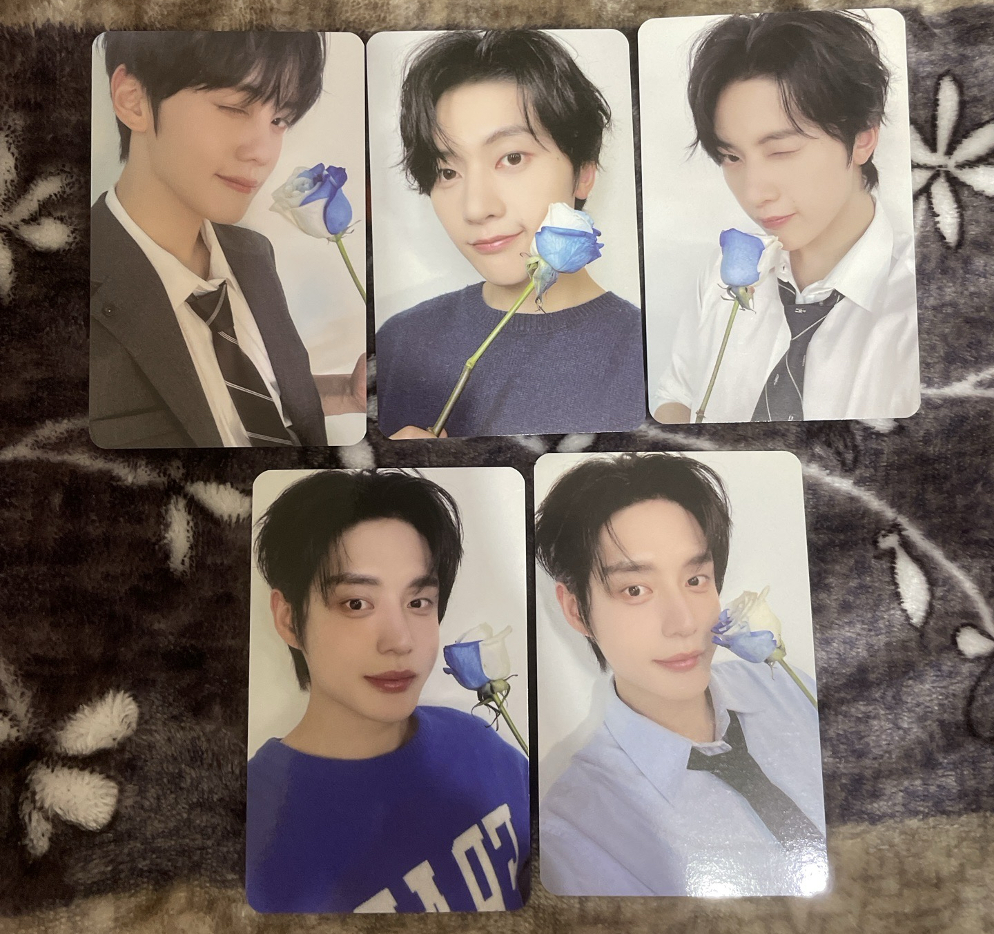 zb1 三期會員卡 金奎彬 石馬修 金地雄