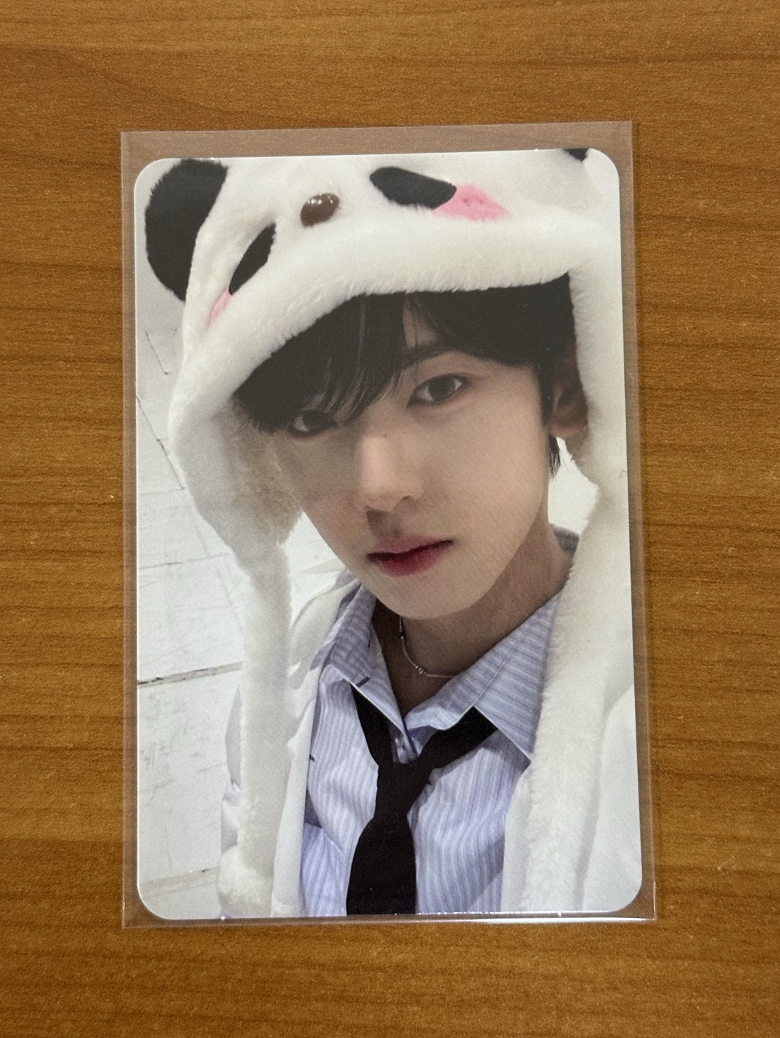 迷一 ms 2.0 特典卡 熊貓 