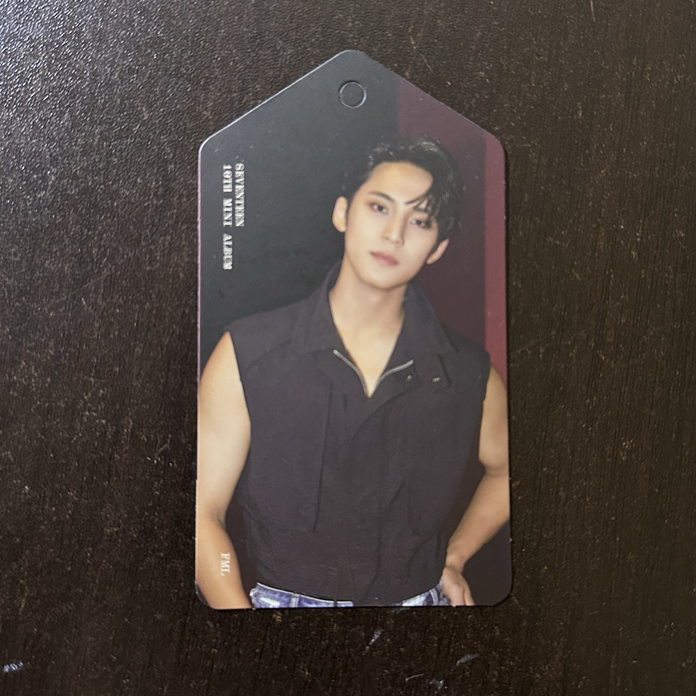 seventeen 珉奎專輯書籤