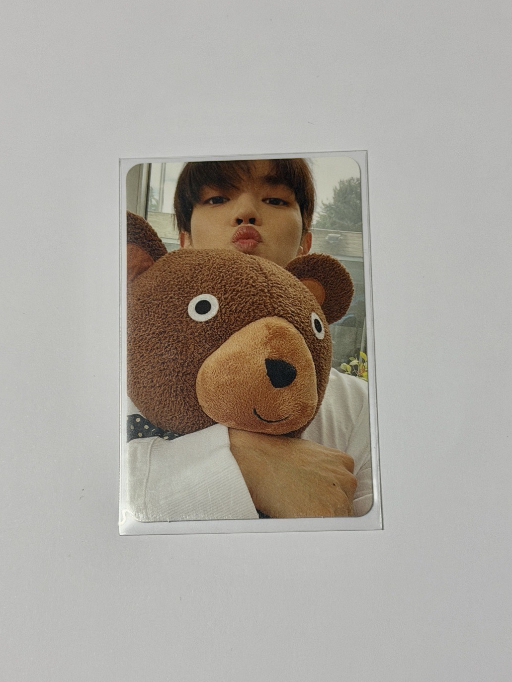 泰容 抱熊容 專卡