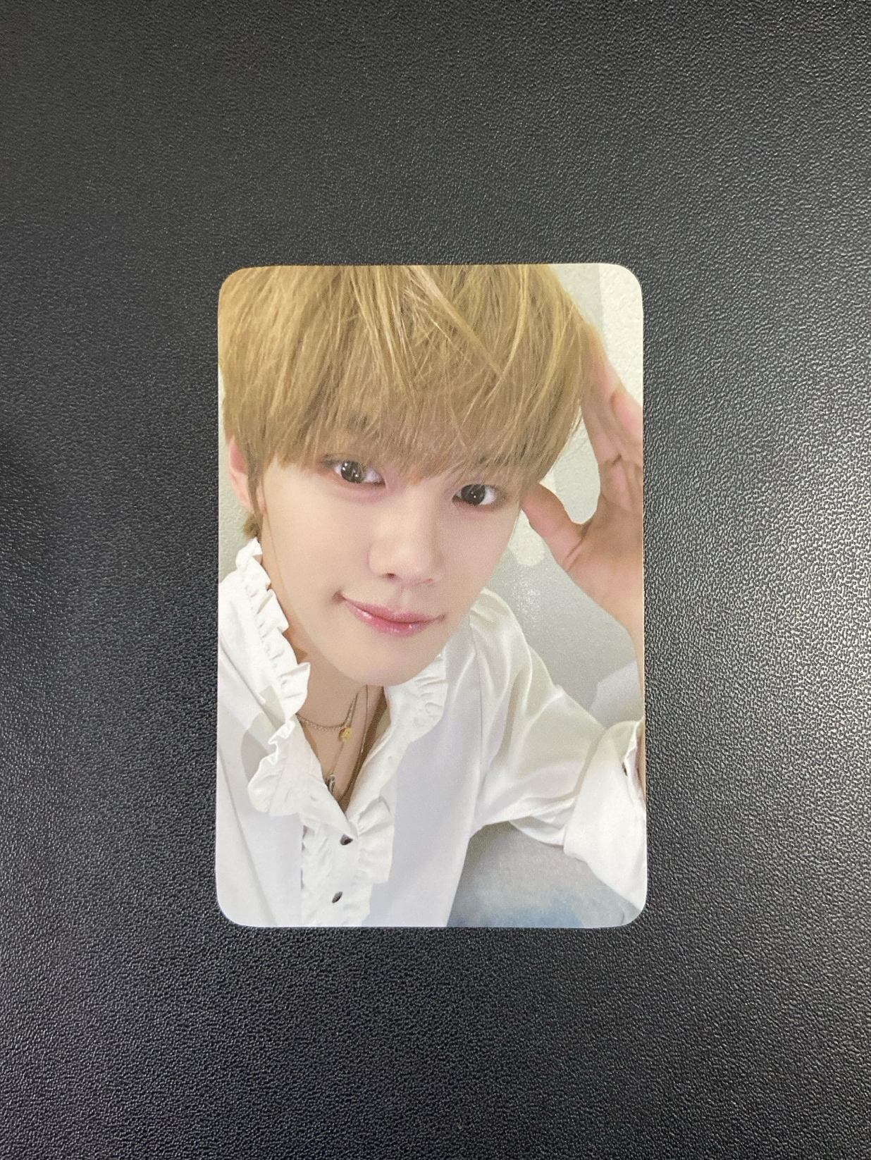 迷四｜sw狗耳奎