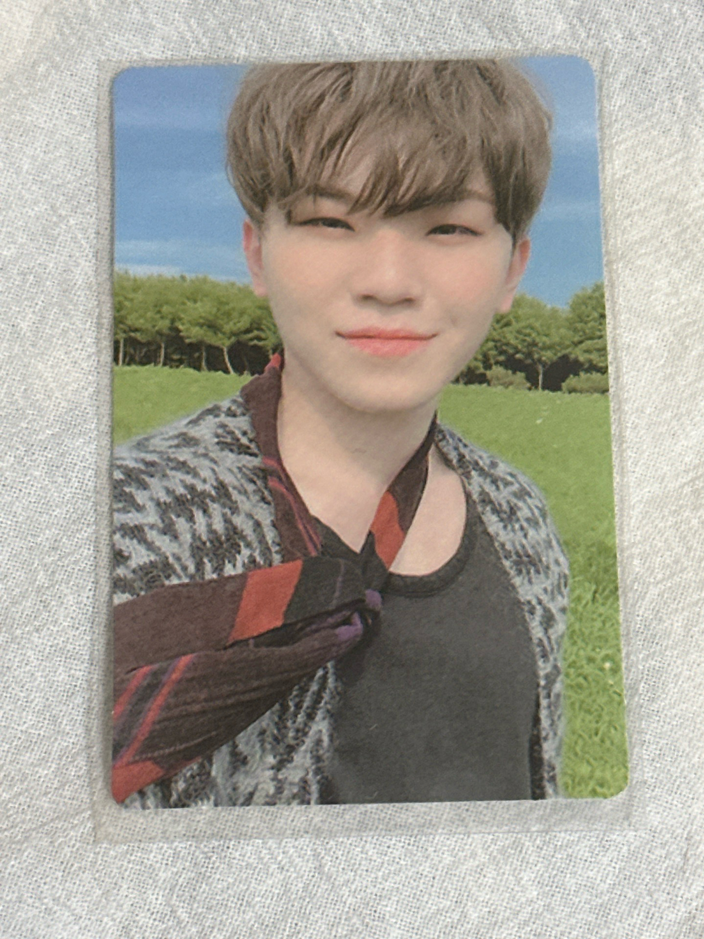 woozi 小卡藍天青草 看起來超漂亮