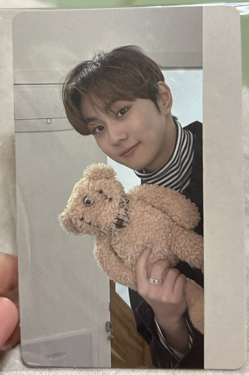 ENHYPEN 禎元 迷二專卡 小熊元