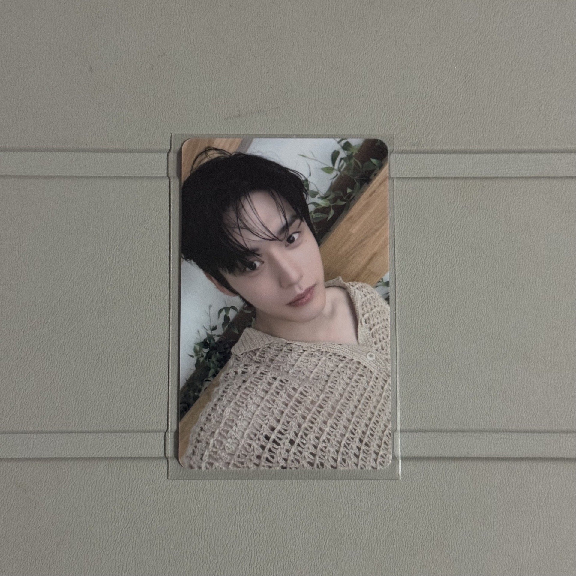 ZB1 clean香水卡 地雄