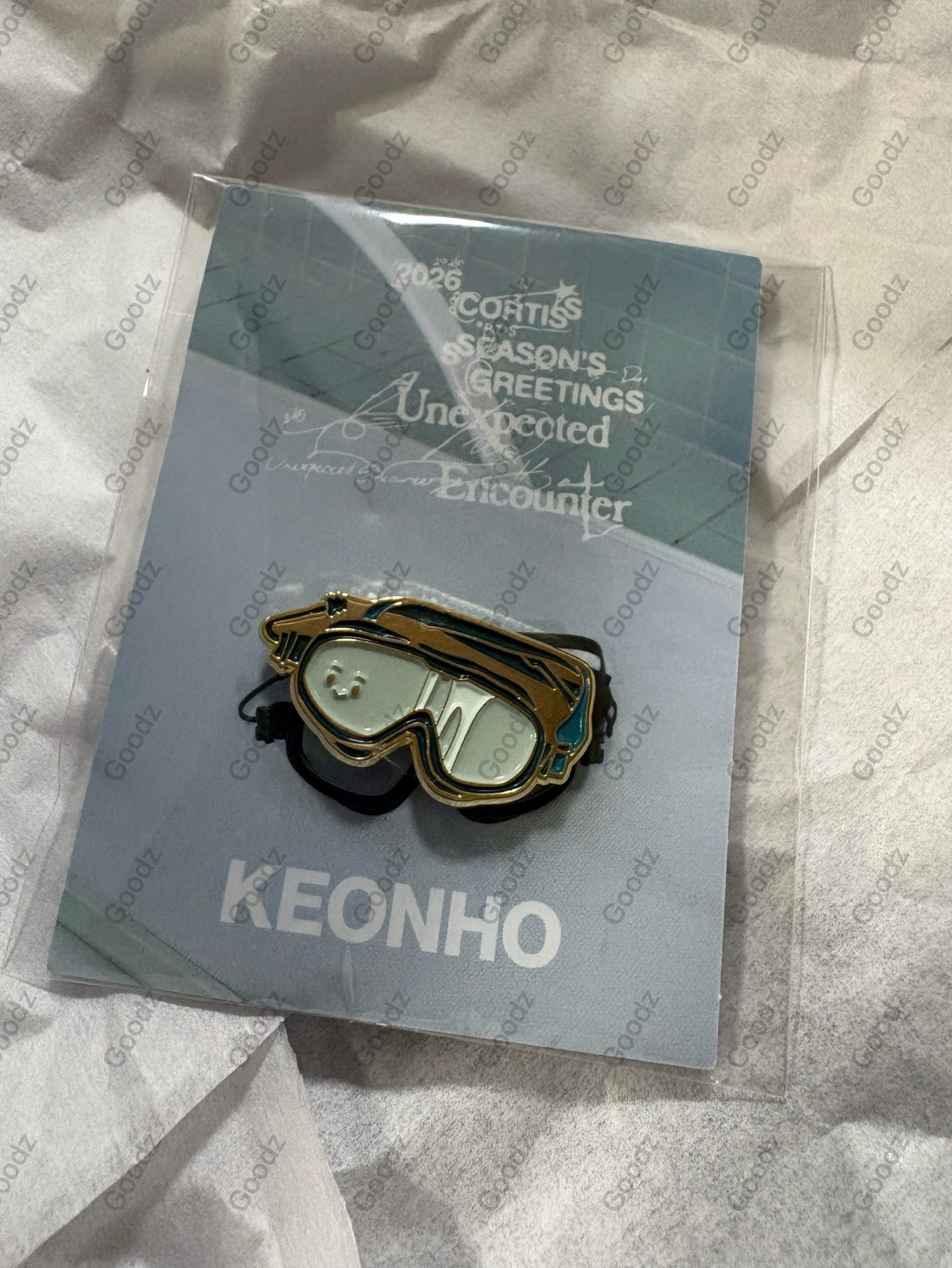 游泳男安乾鎬 泳鏡徽章