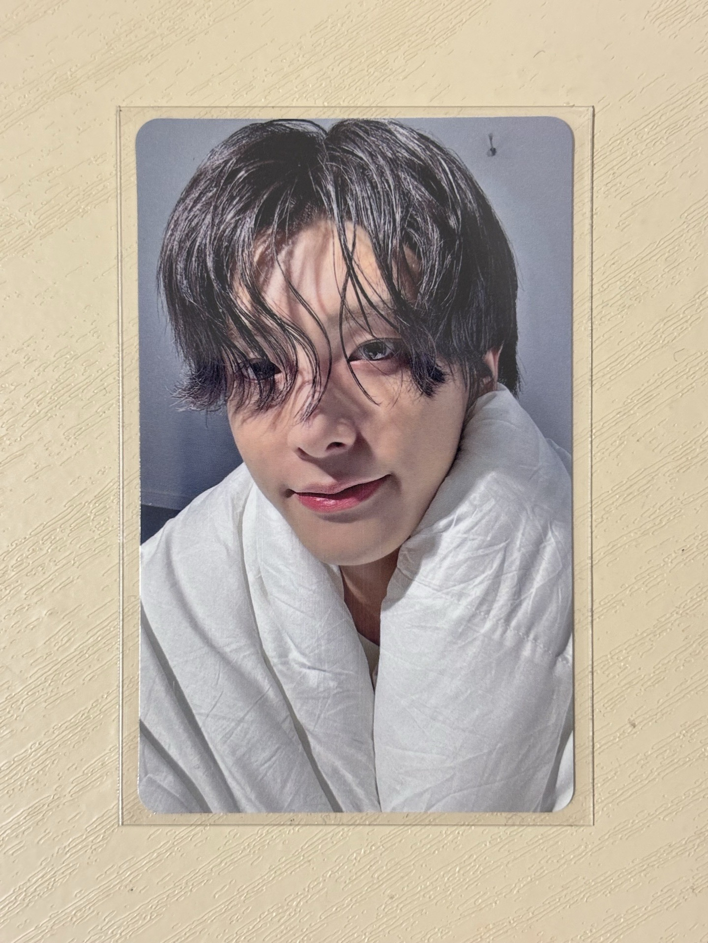 日咖特典 棉被倫