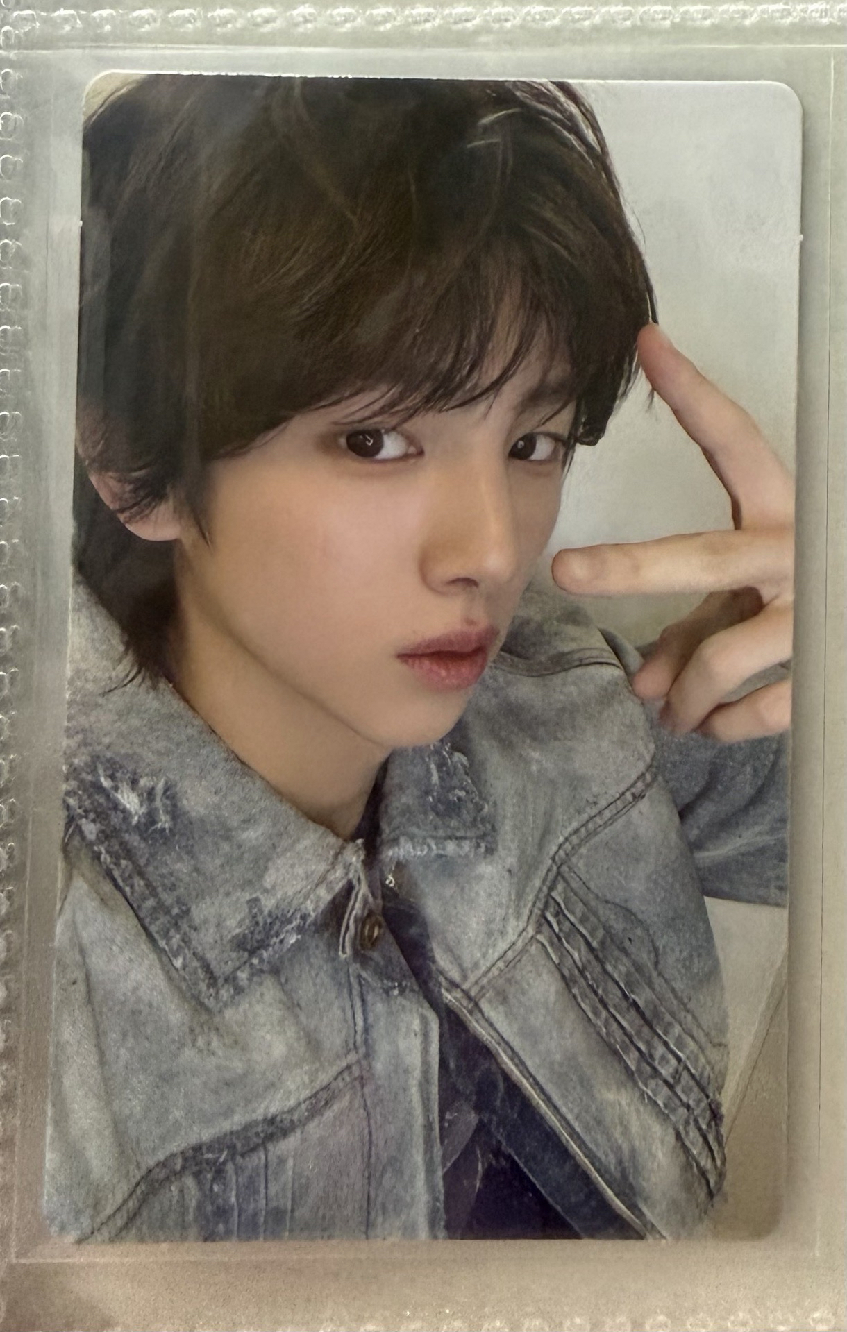 金主訓AAA WVS特典