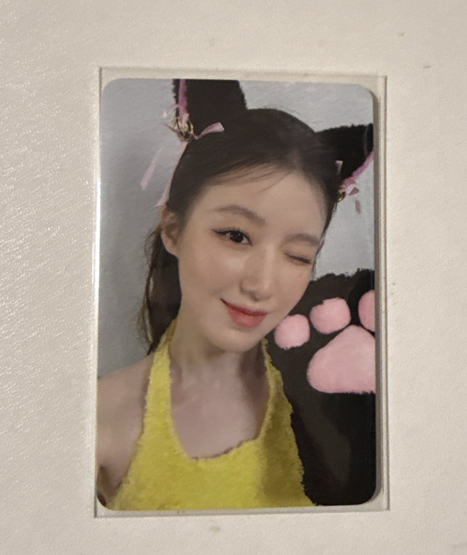 we are my 3.0簽售卡 貓爪刷