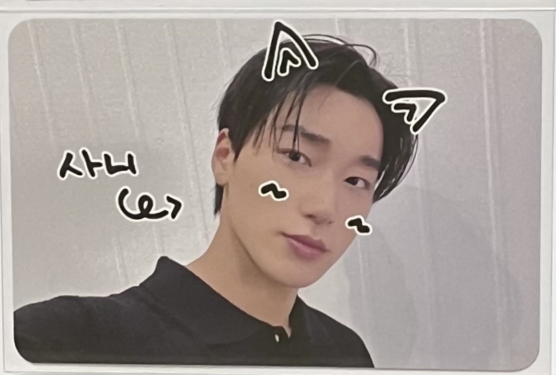 寵物攝影機幸運卡傘咪🐾🐈