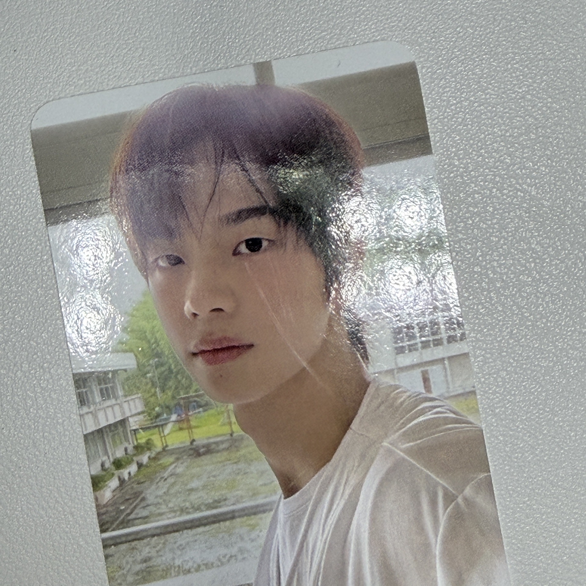 申惟 yes24預售 有損