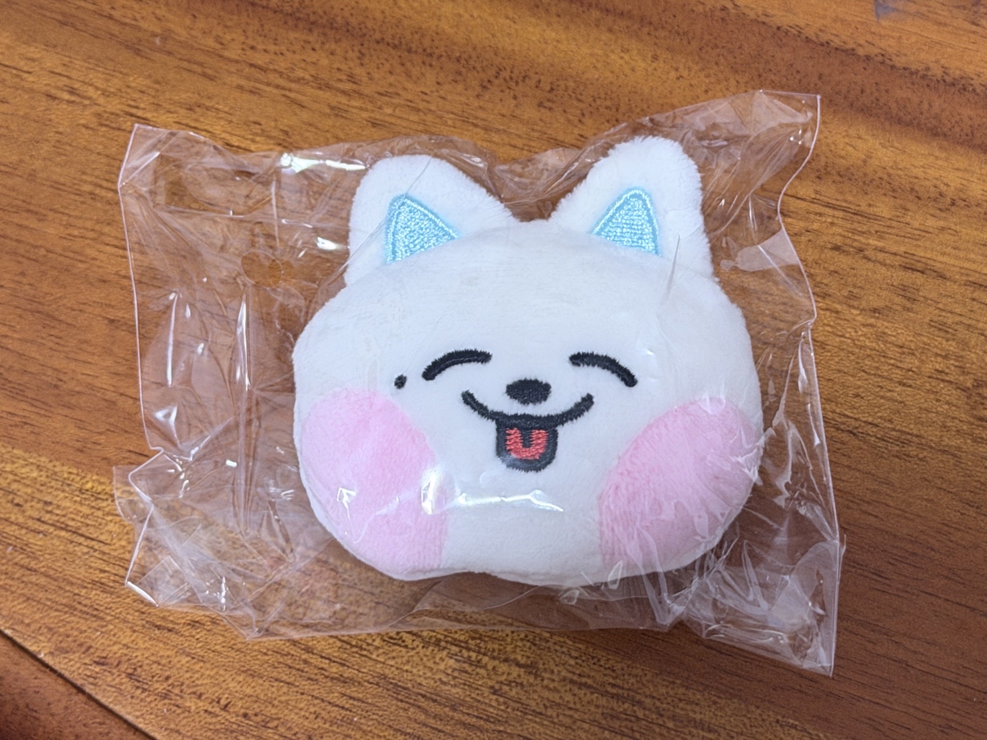 line friends 帝努+仁俊 徽章