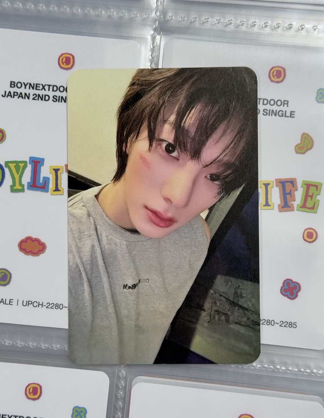 ❄️No Genre 隨機卡 自拍成淏