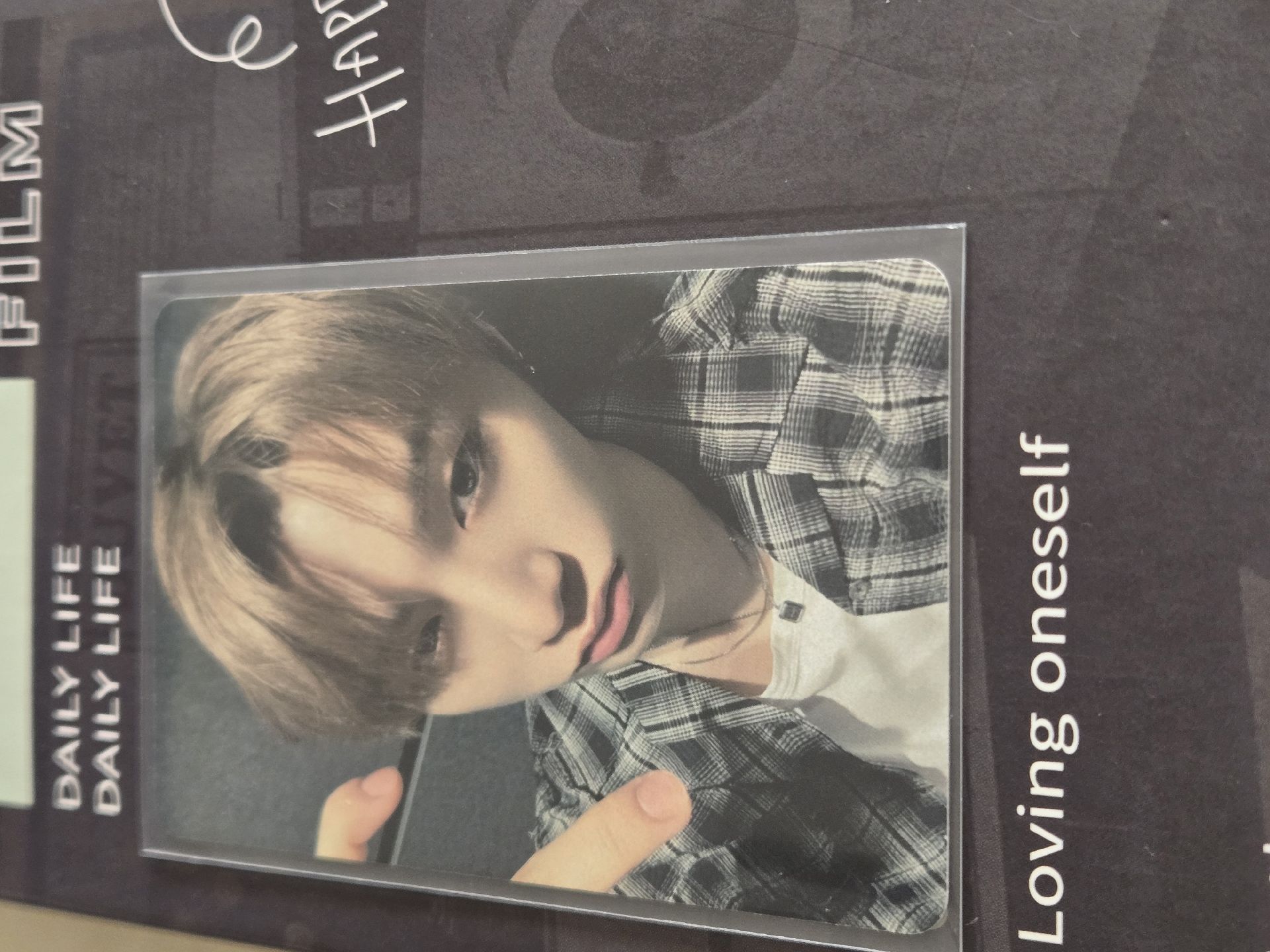 小貓咪比心喵喵