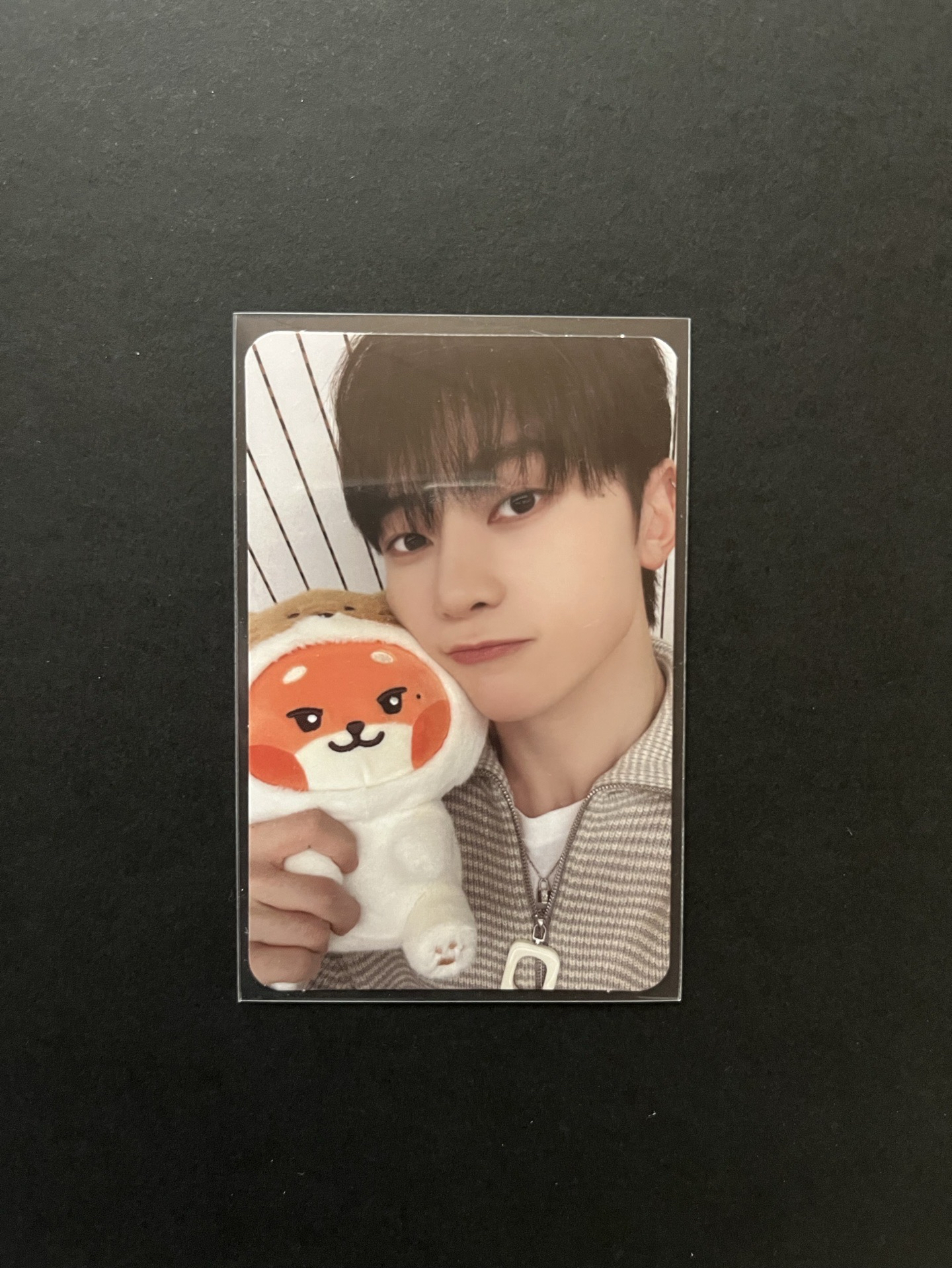 Zeroni fluffy wonderland 滿額卡