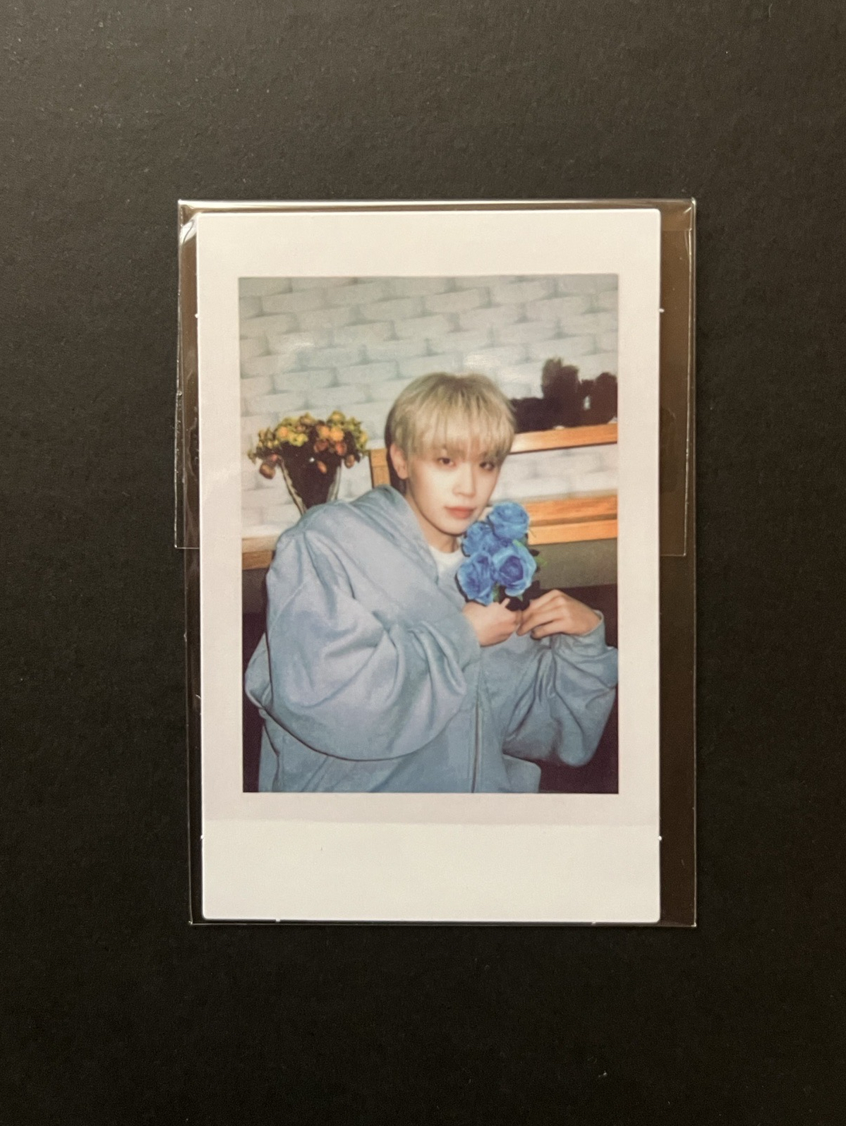 zb1 blue bakery 蛋糕拍立得