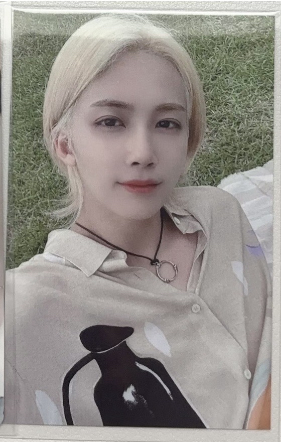 尹淨漢 草地打歌卡