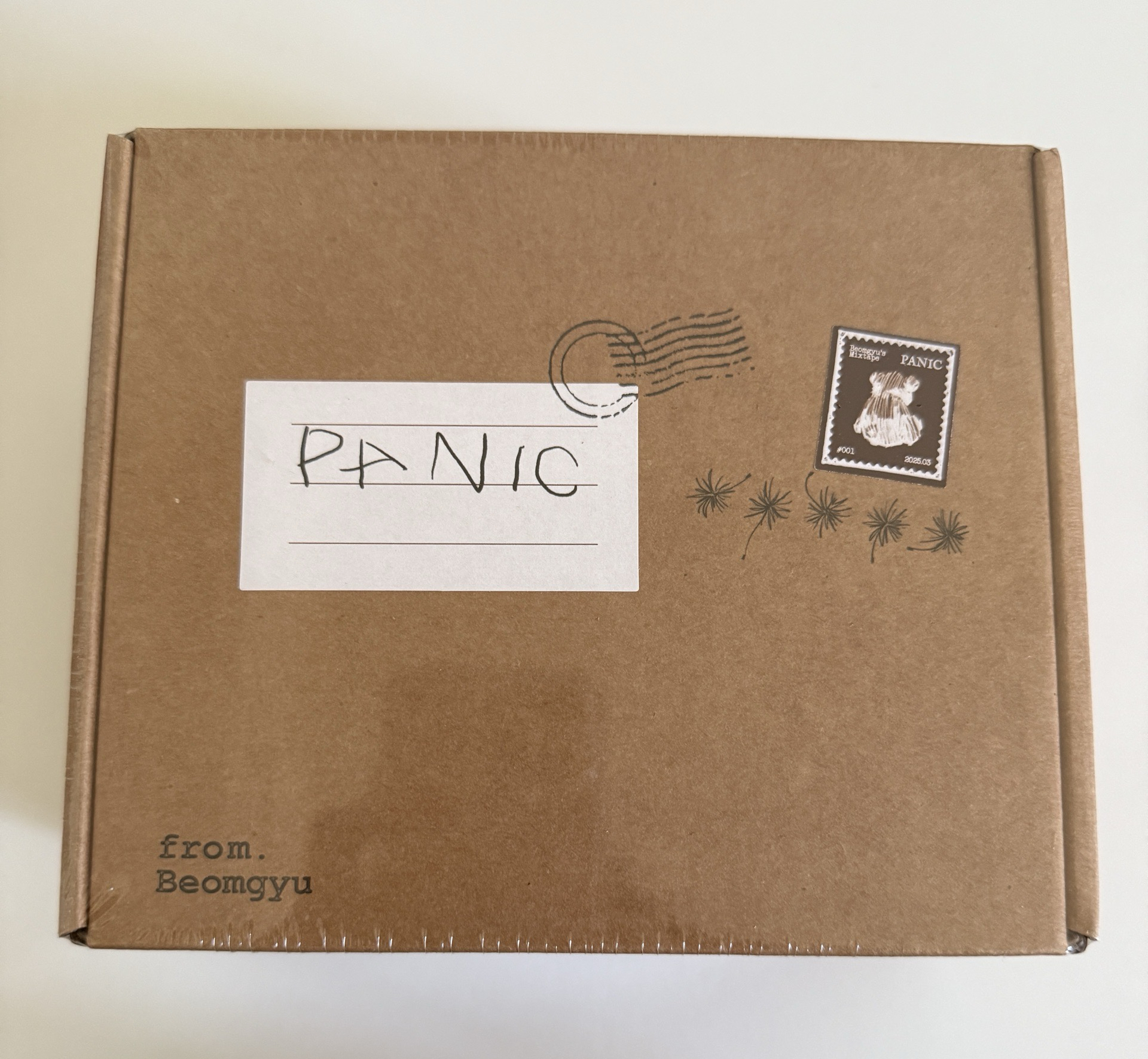 TXT 崔杋圭 panic 未拆專